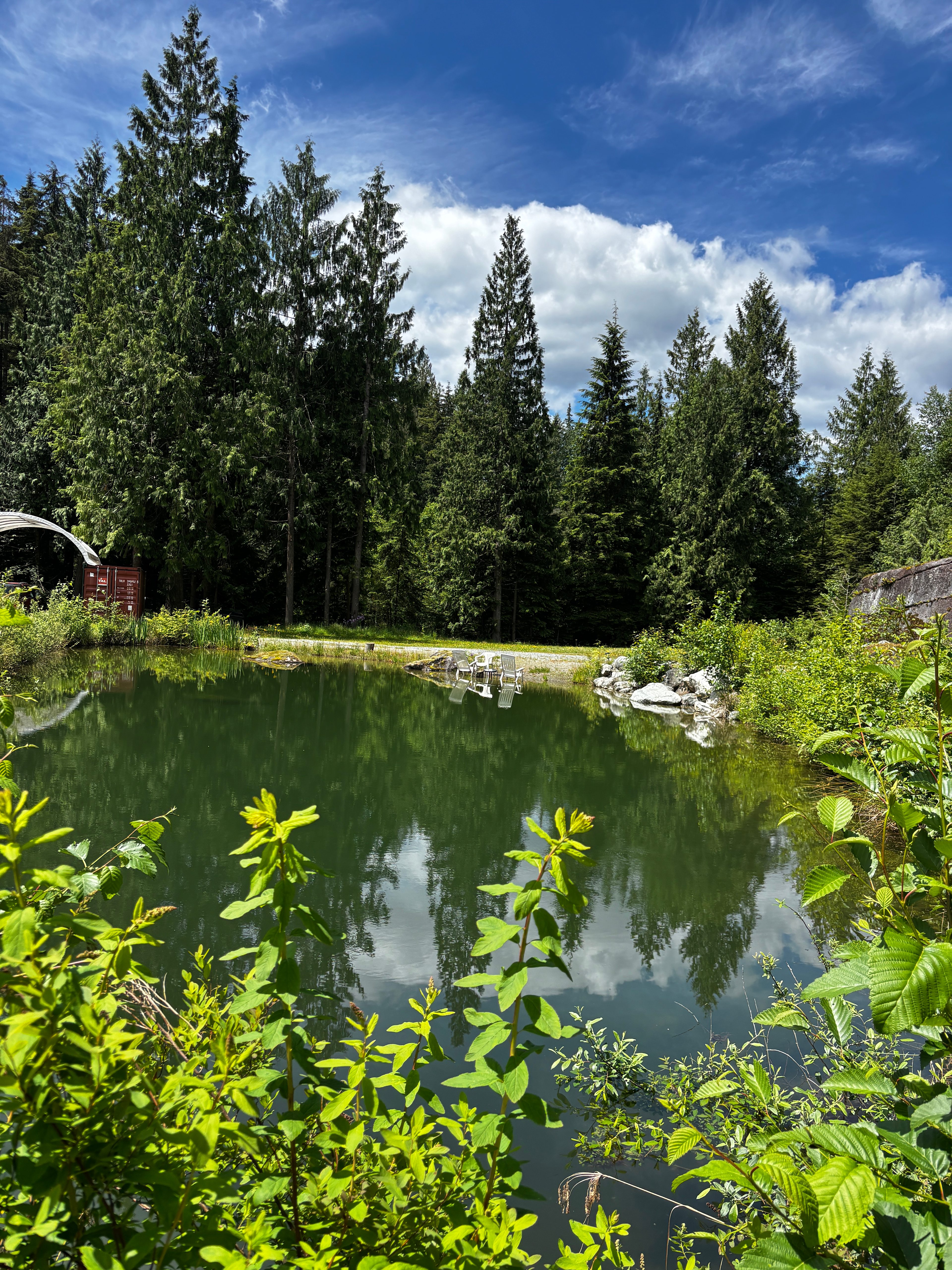 Daisey lake