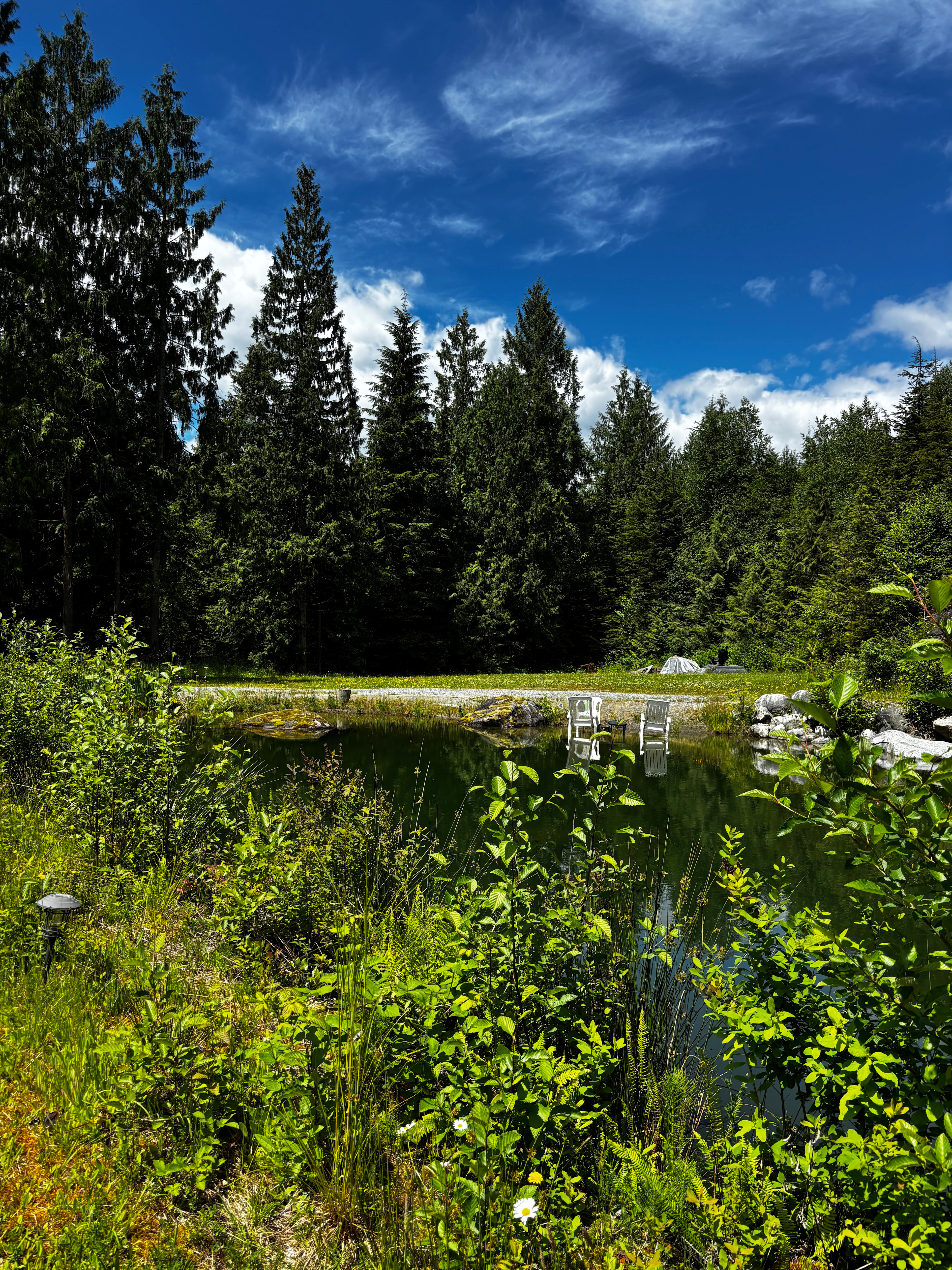Daisey lake