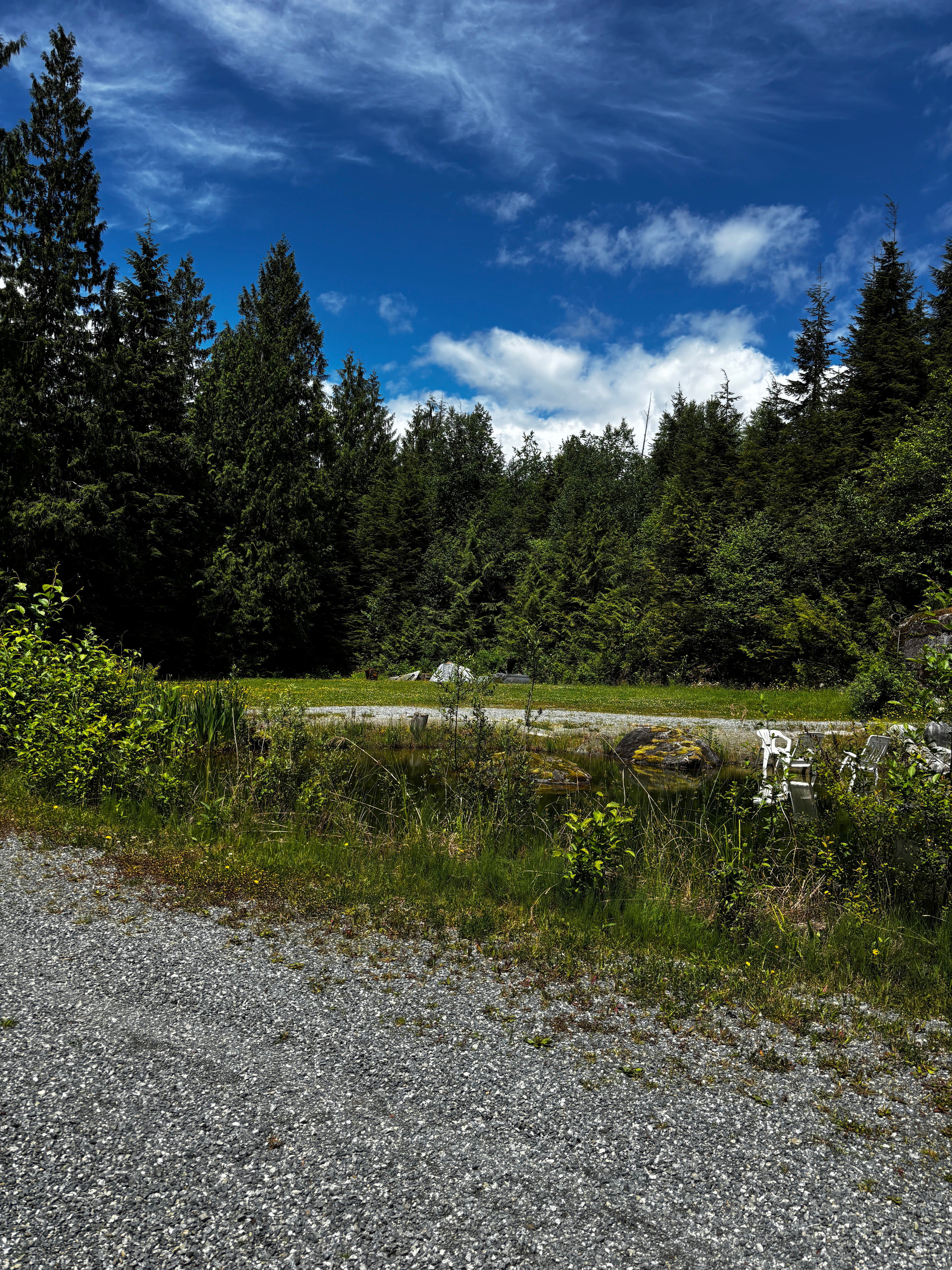 Daisey lake