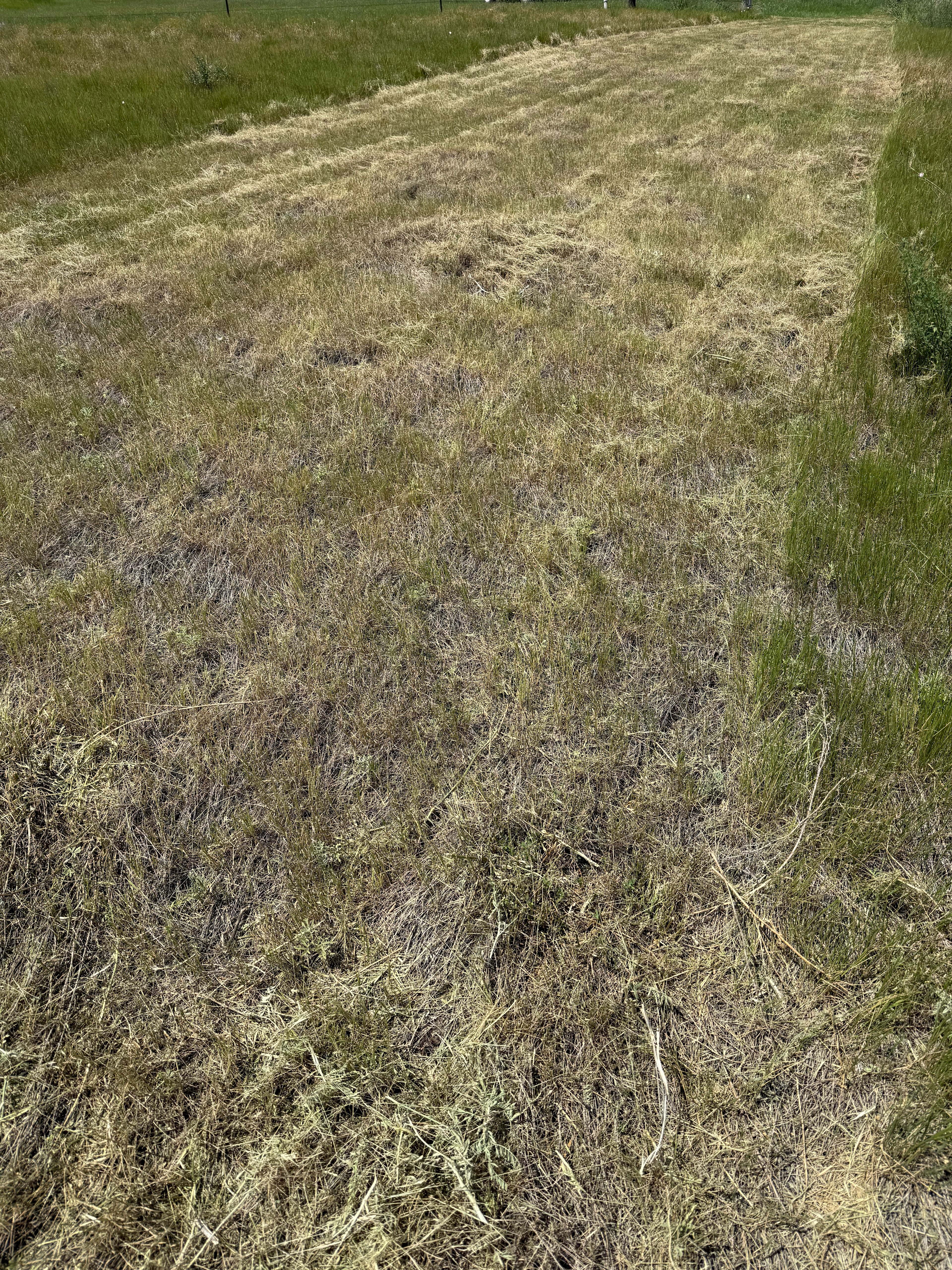 Whispering Prairie Camp