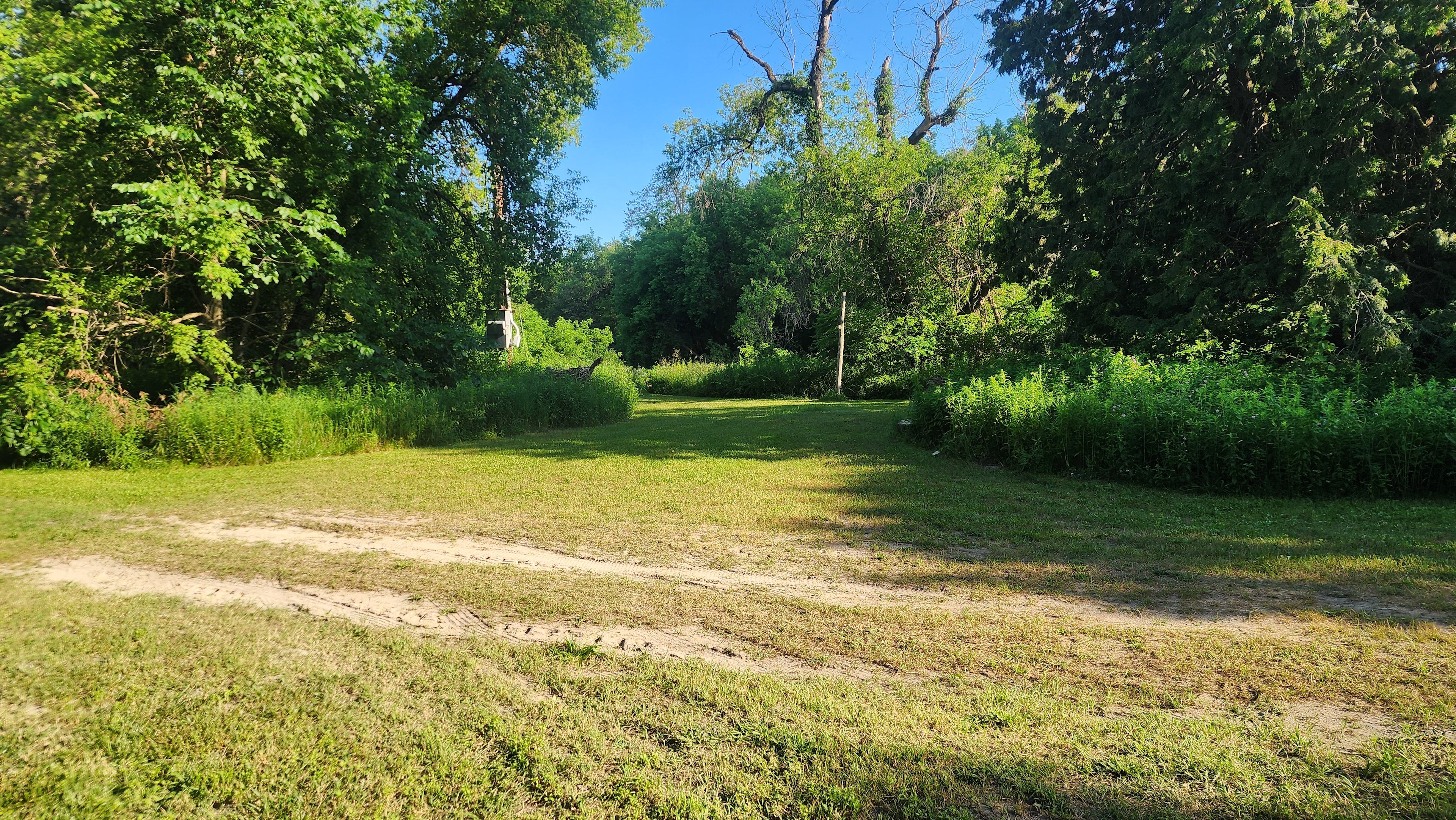 Camp Saulaine