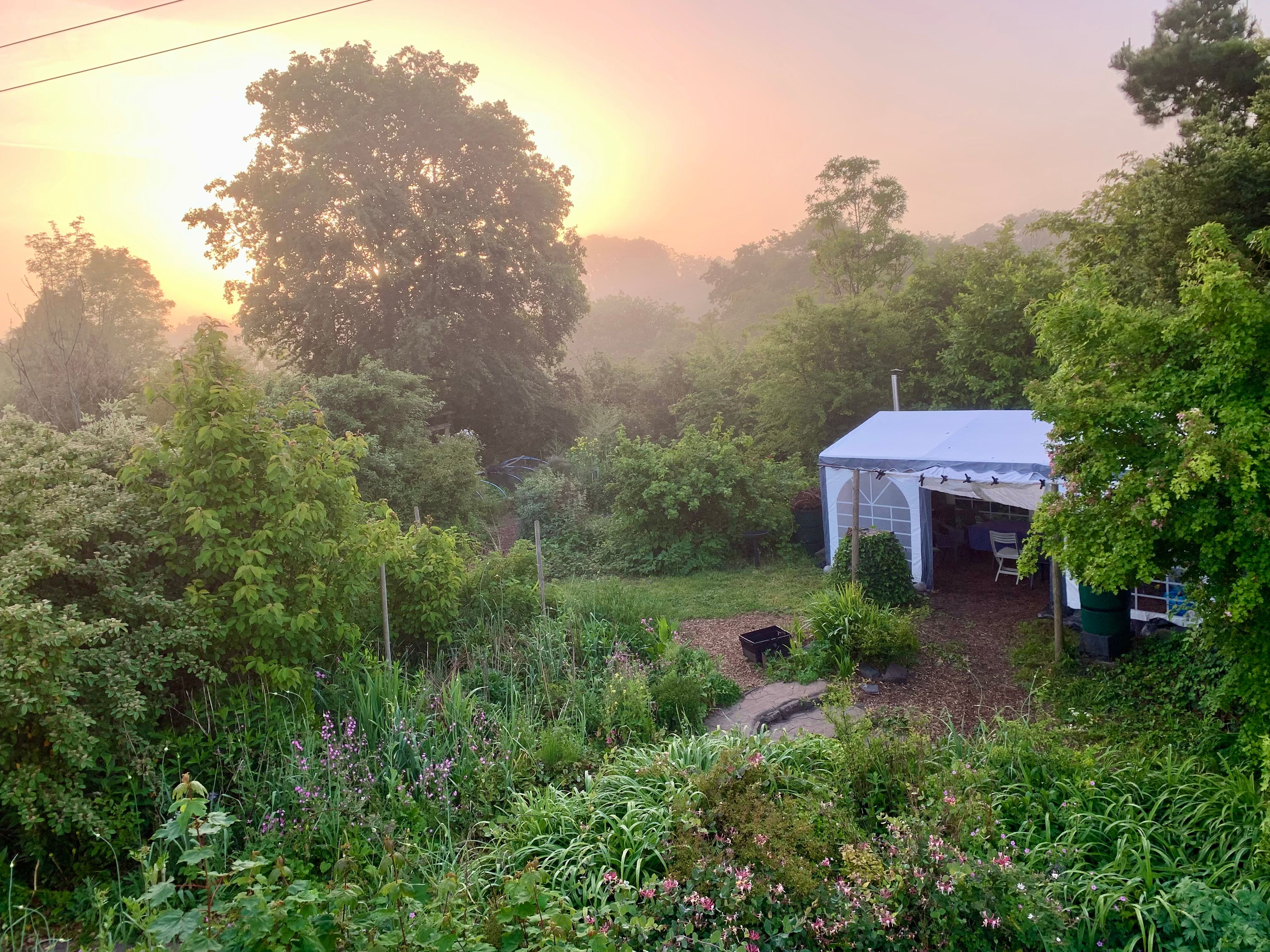 Forest Garden Camp Spot Cardiff