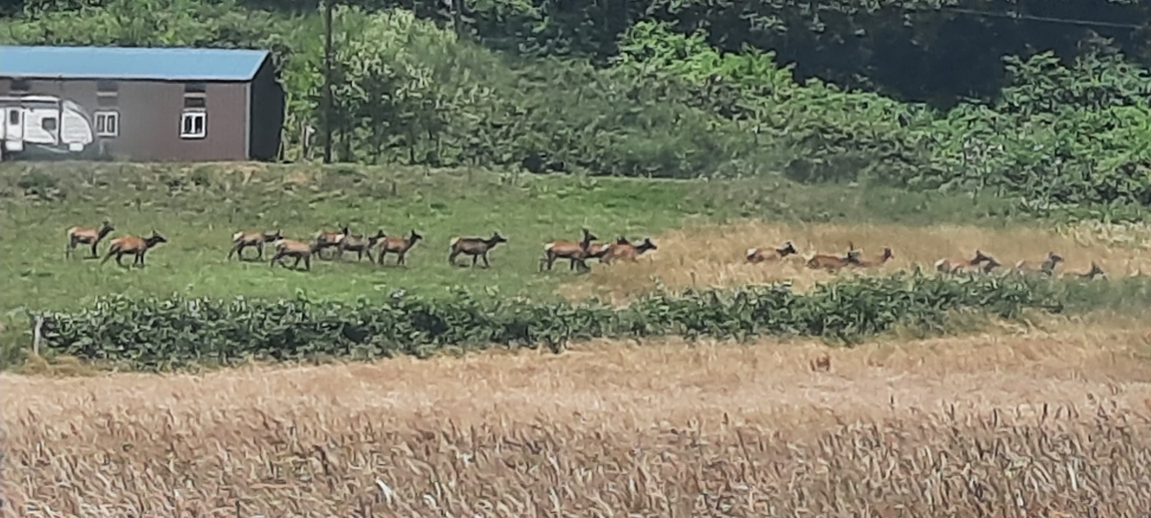 West Creek Ranch
