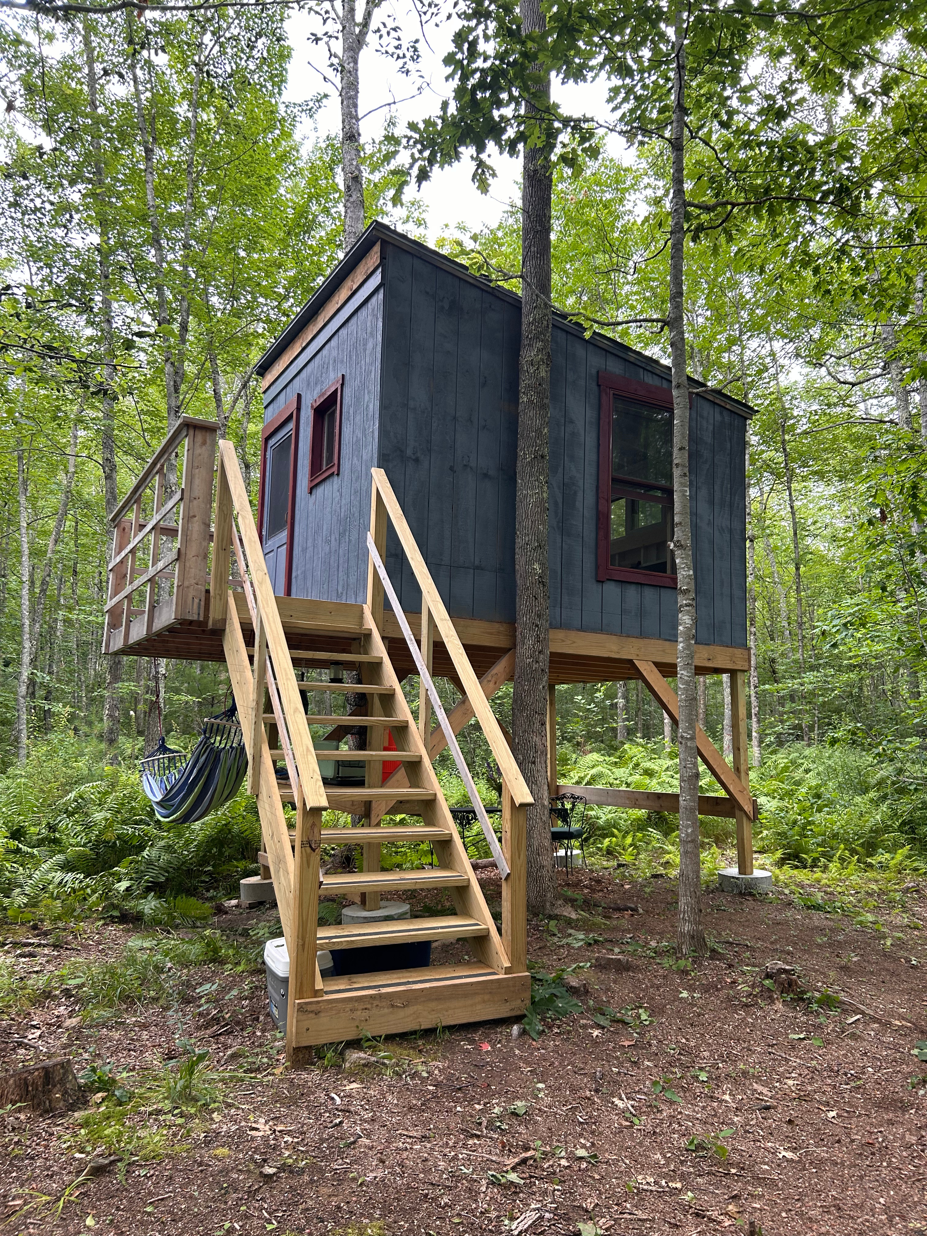 Dreamy Treehouse