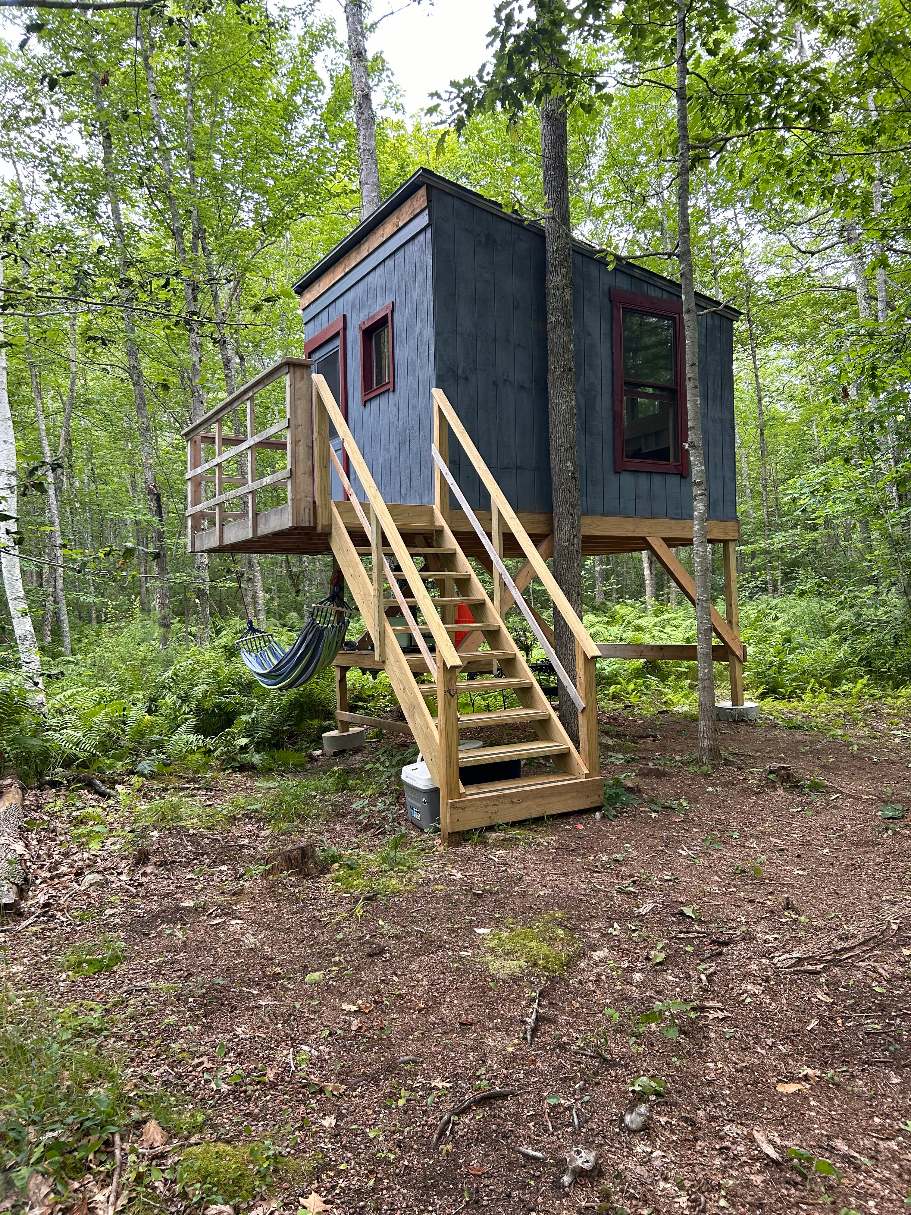 Dreamy Treehouse
