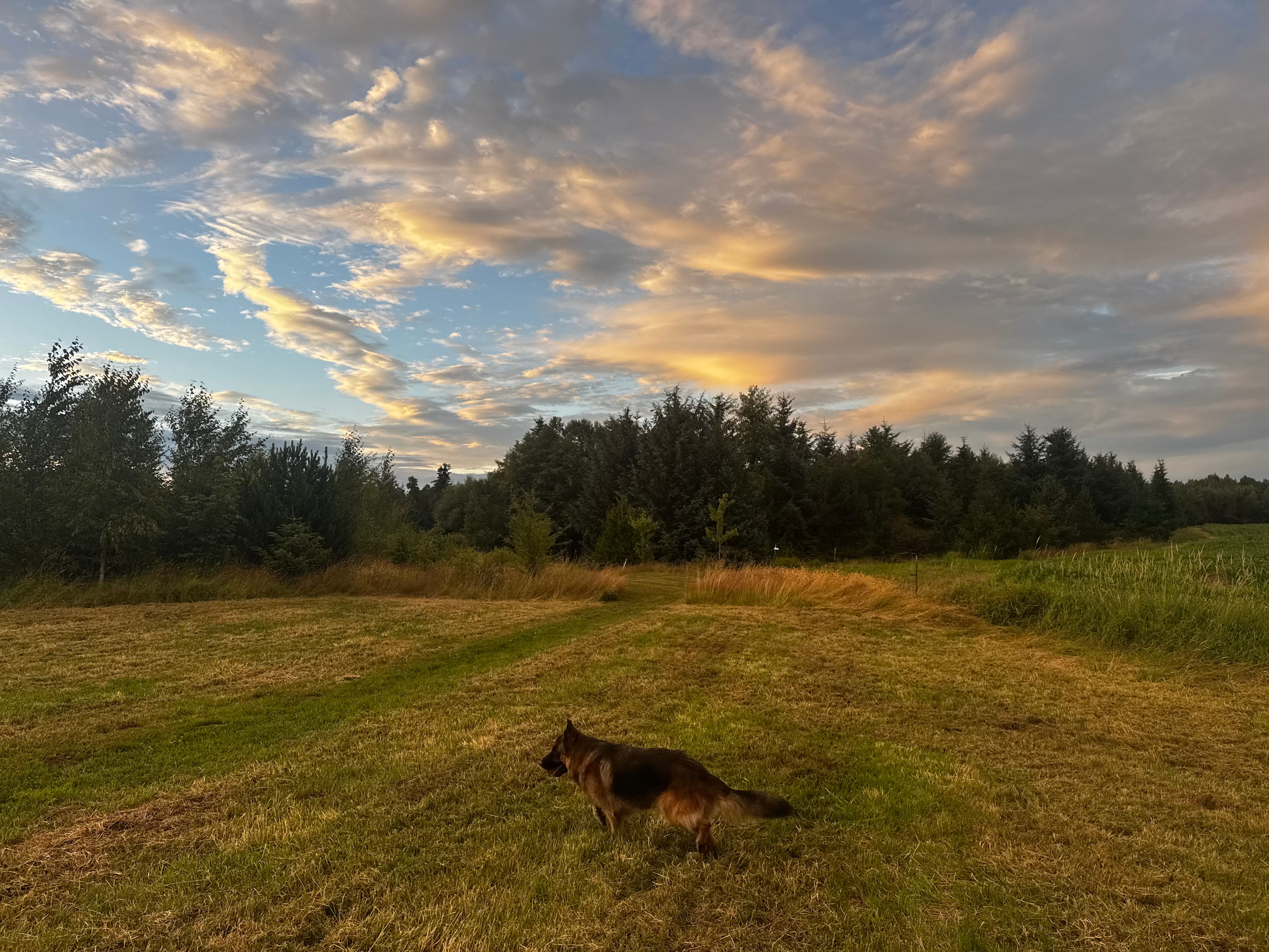 Sunset hour at the RV site