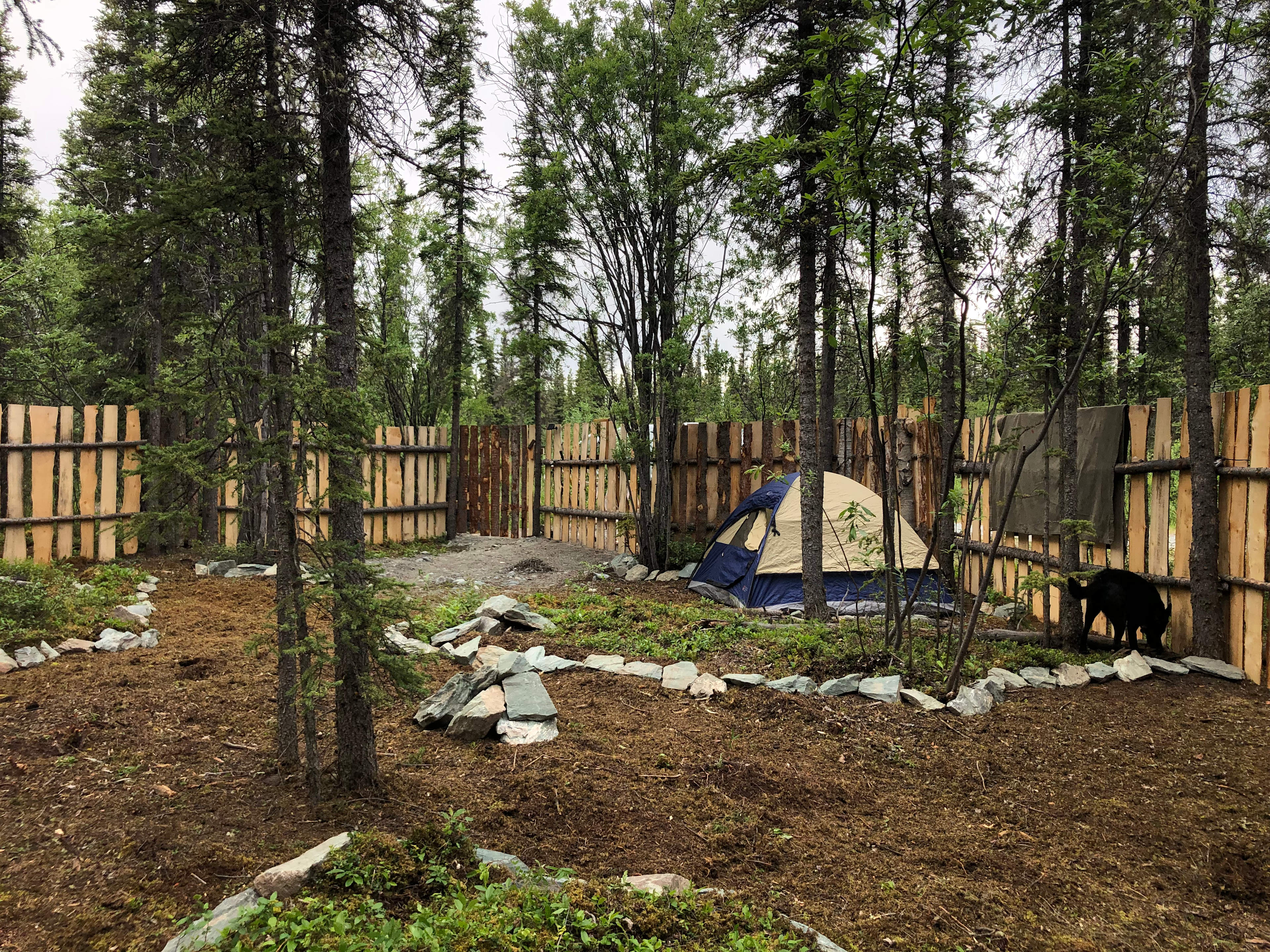 Alaska Life Camp