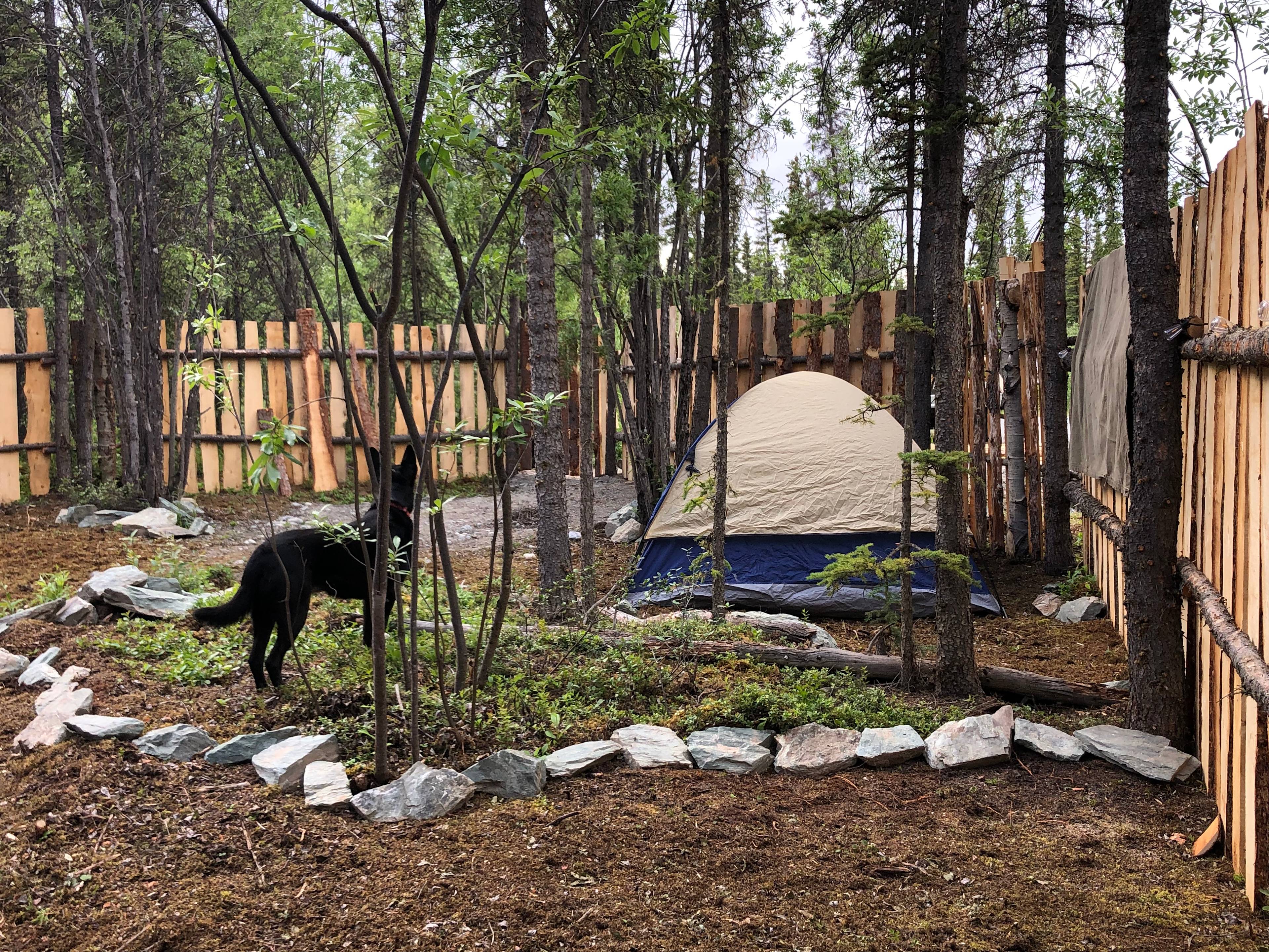 Alaska Life Camp