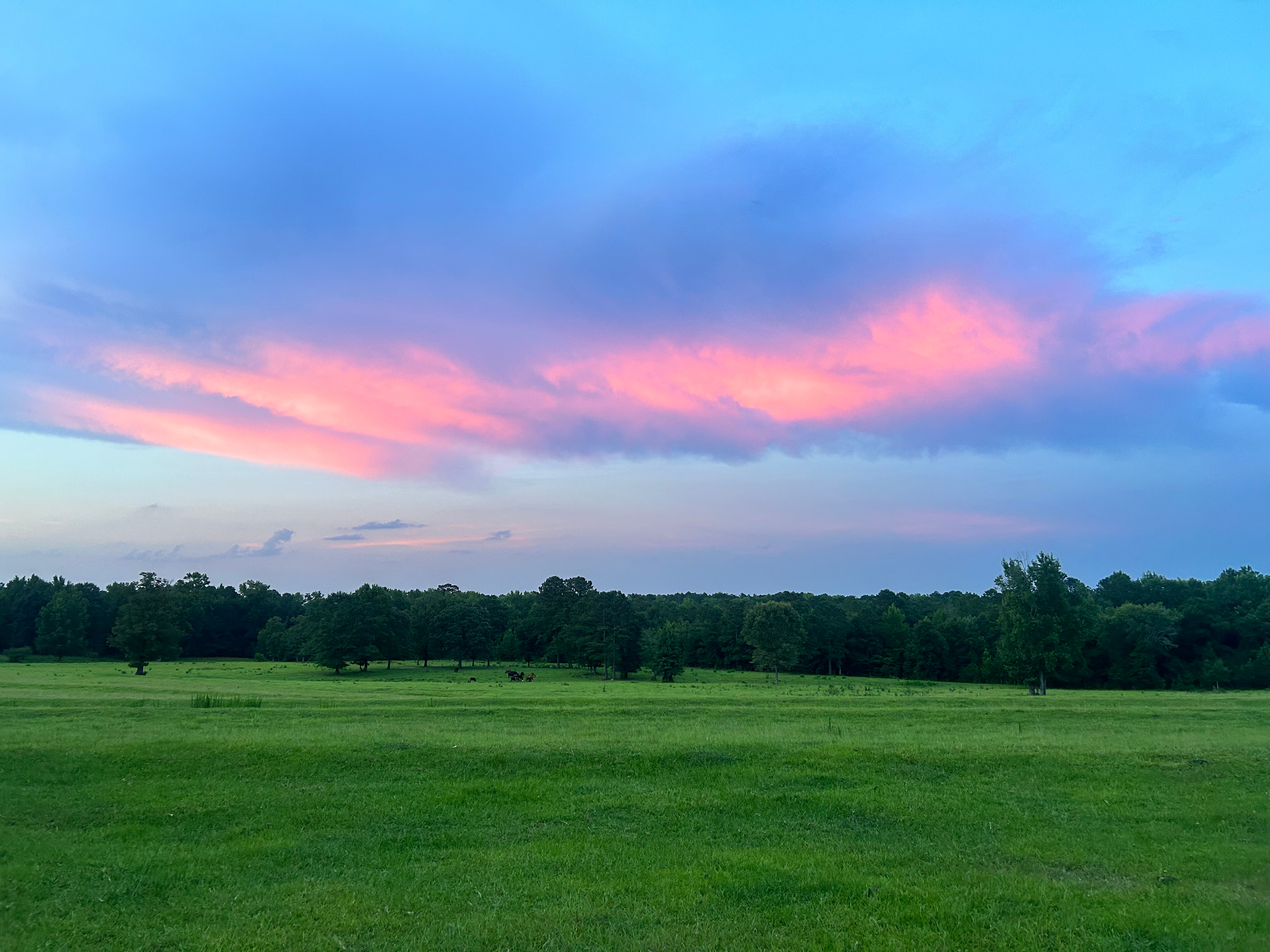 Dreamland Farms