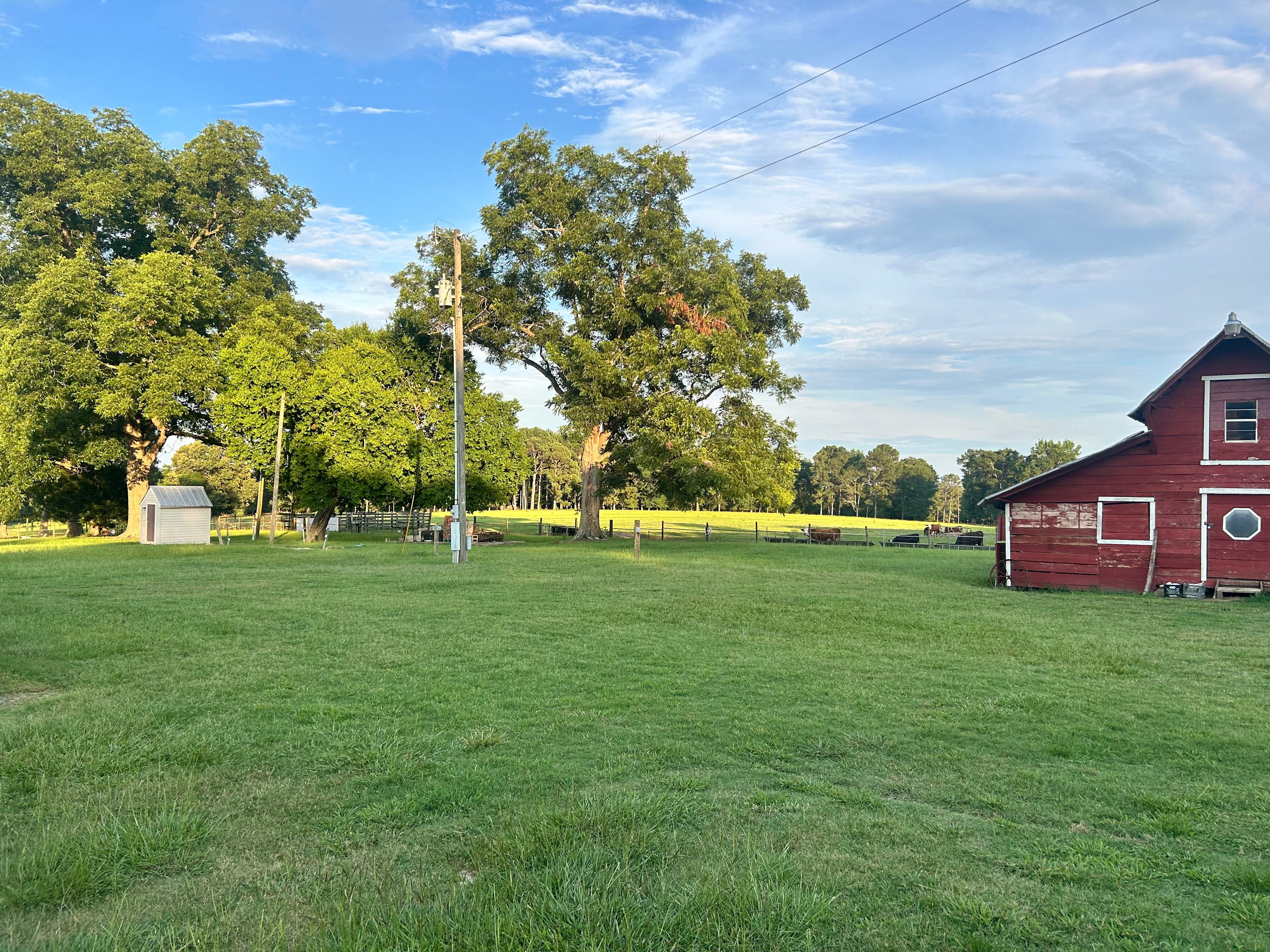 Dreamland Farms