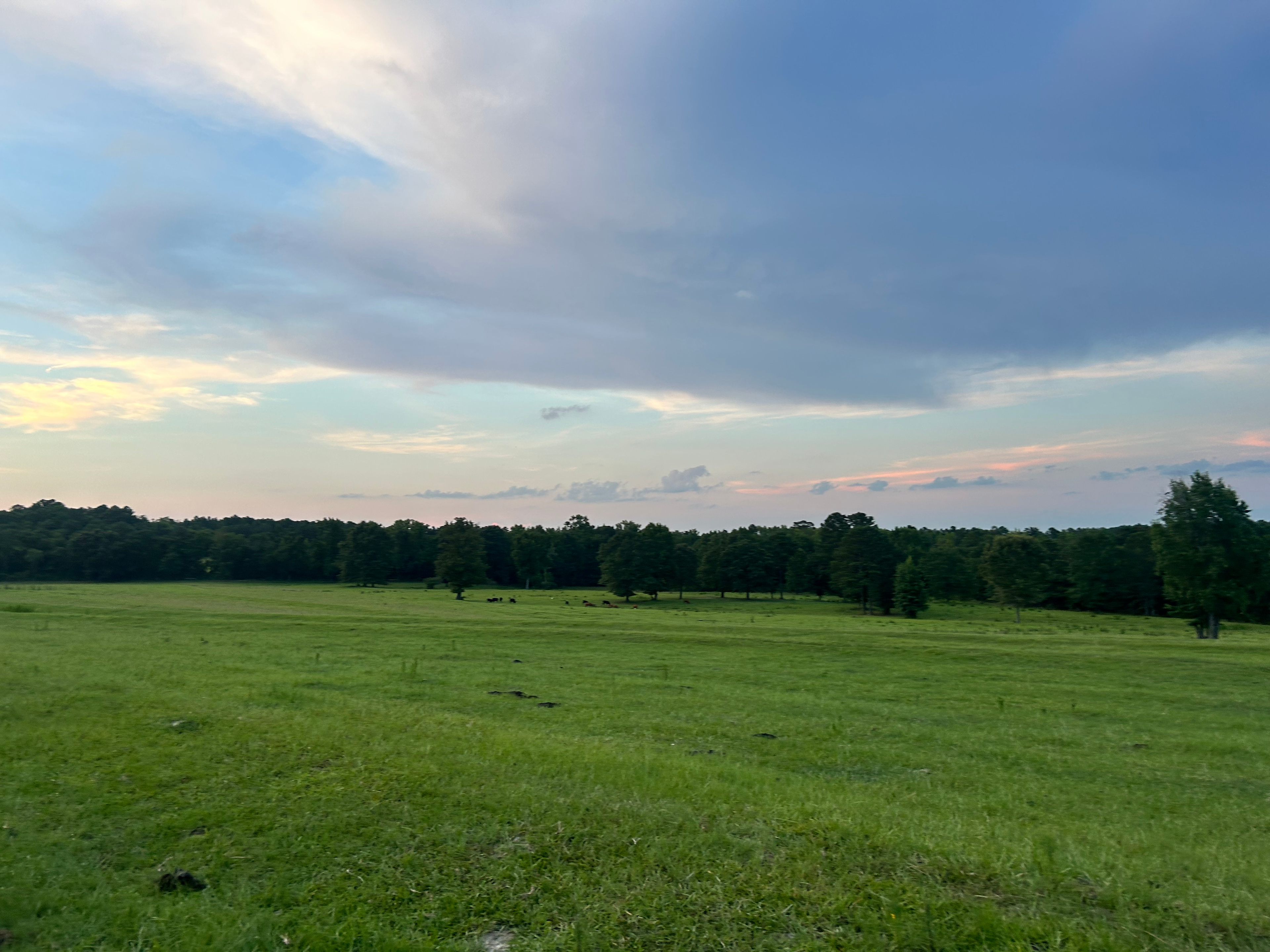 Dreamland Farms