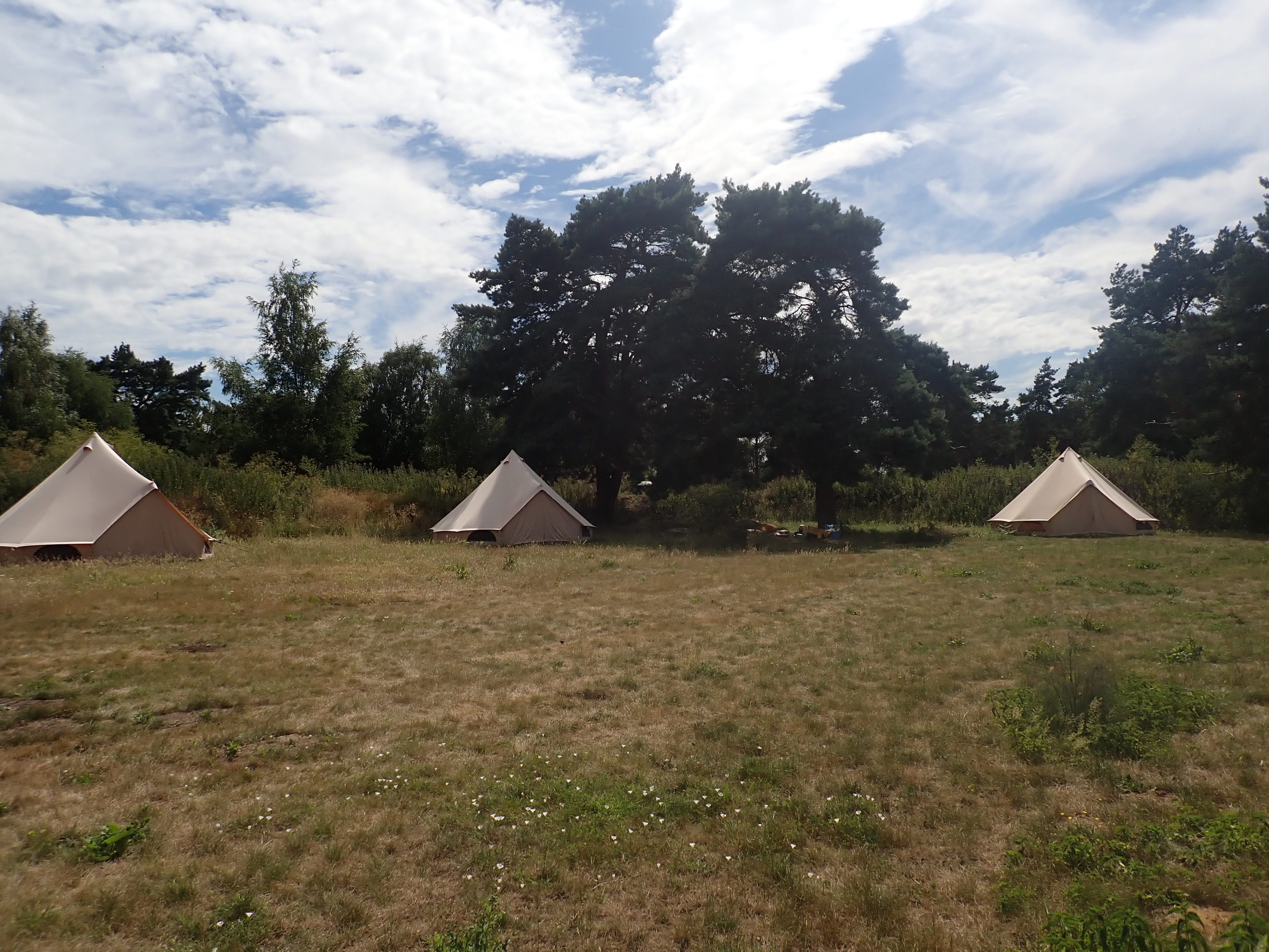 holistic woods bell tents