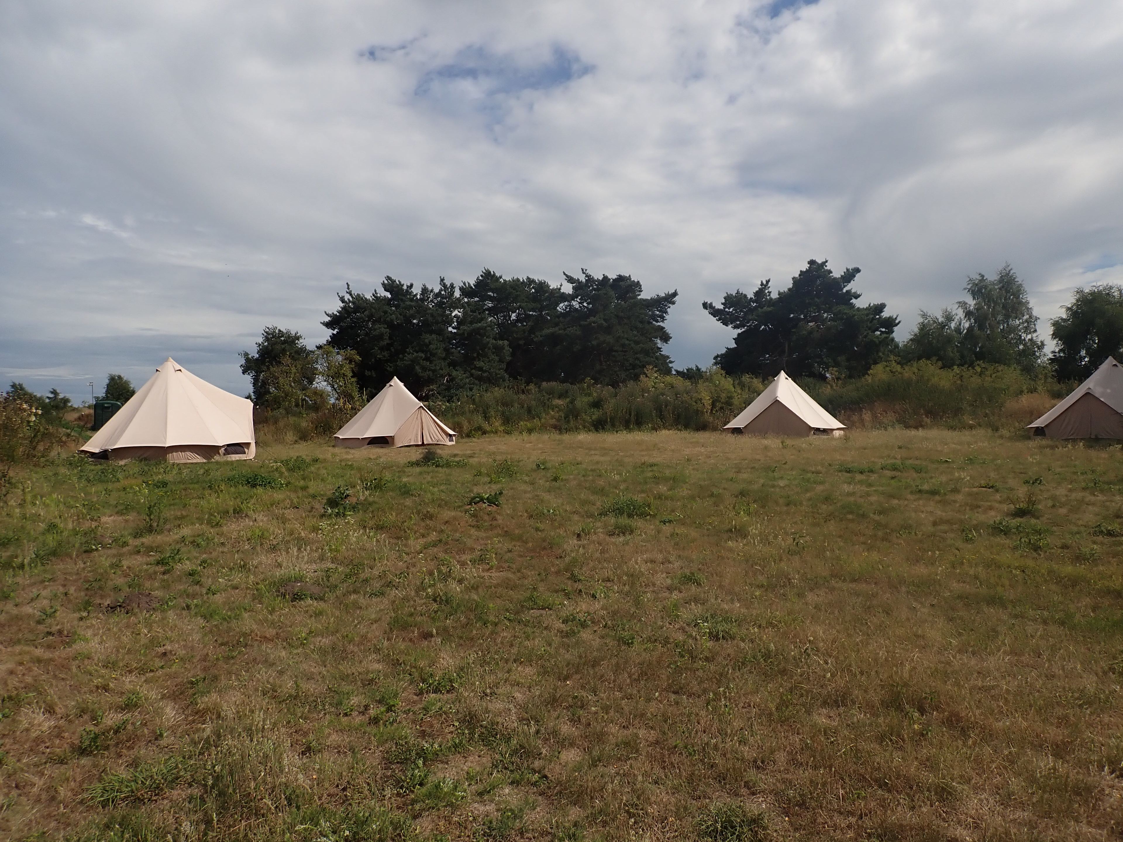 holistic woods bell tents