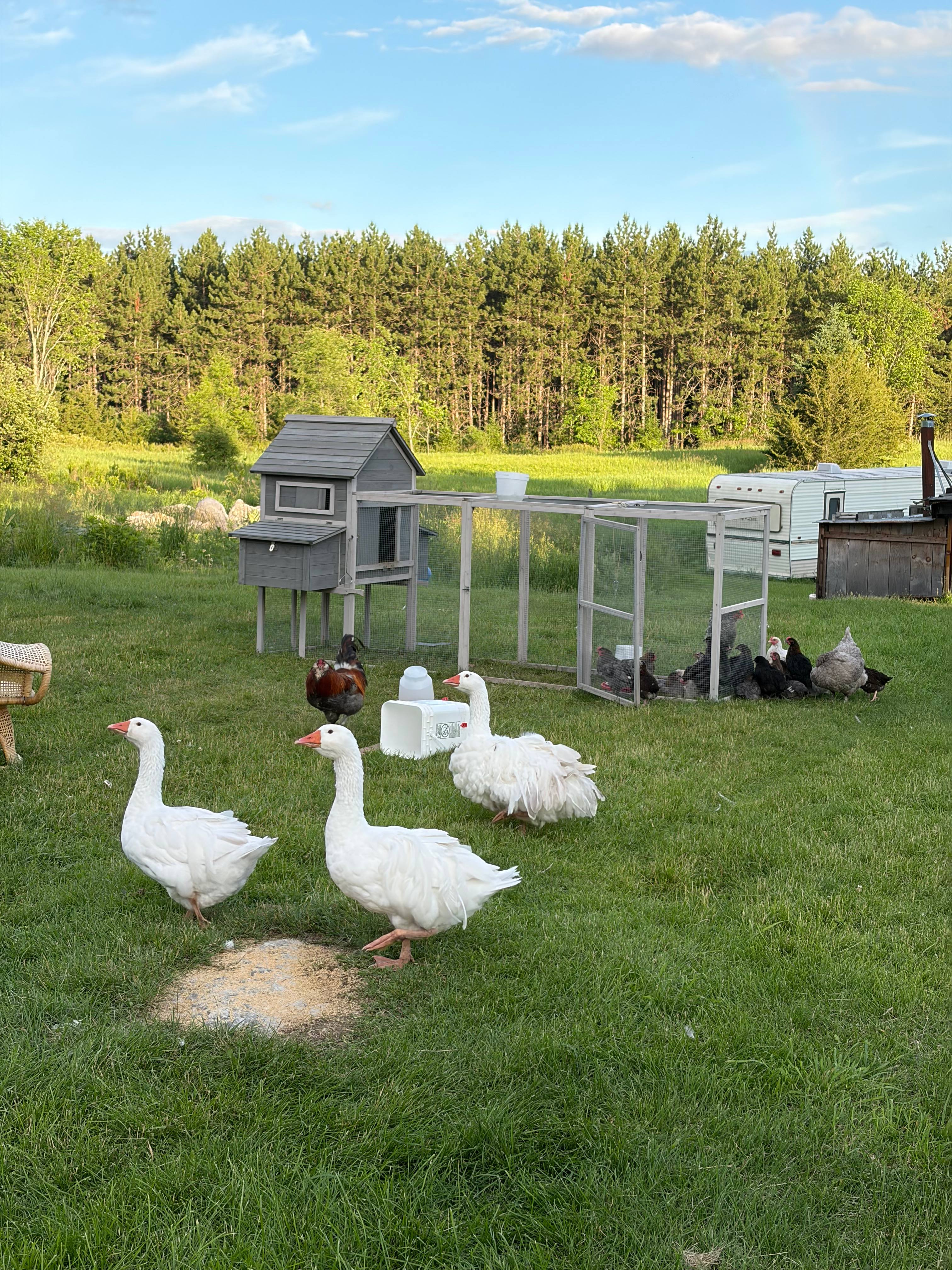 Trent River Homestead