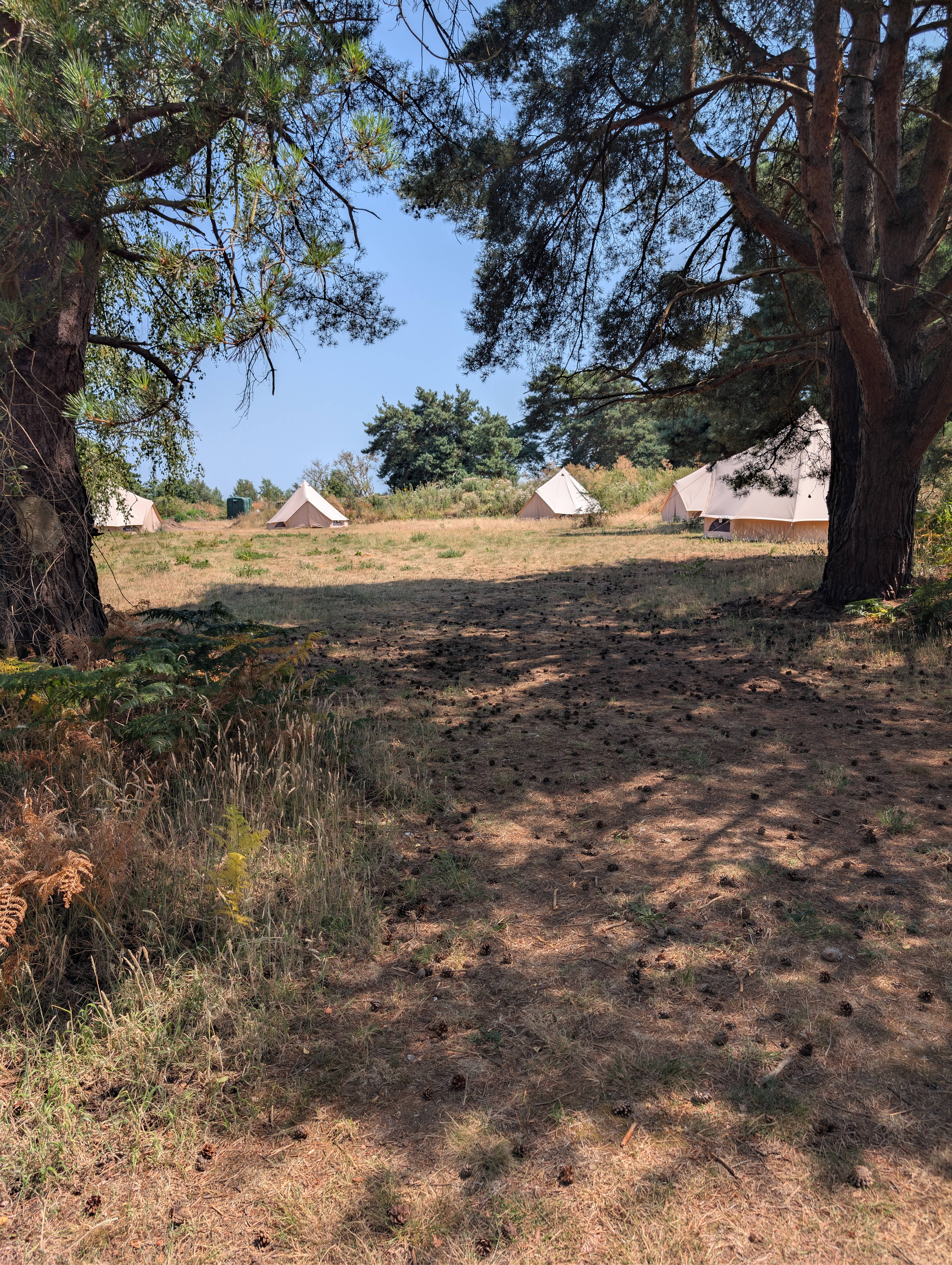 holistic woods bell tents