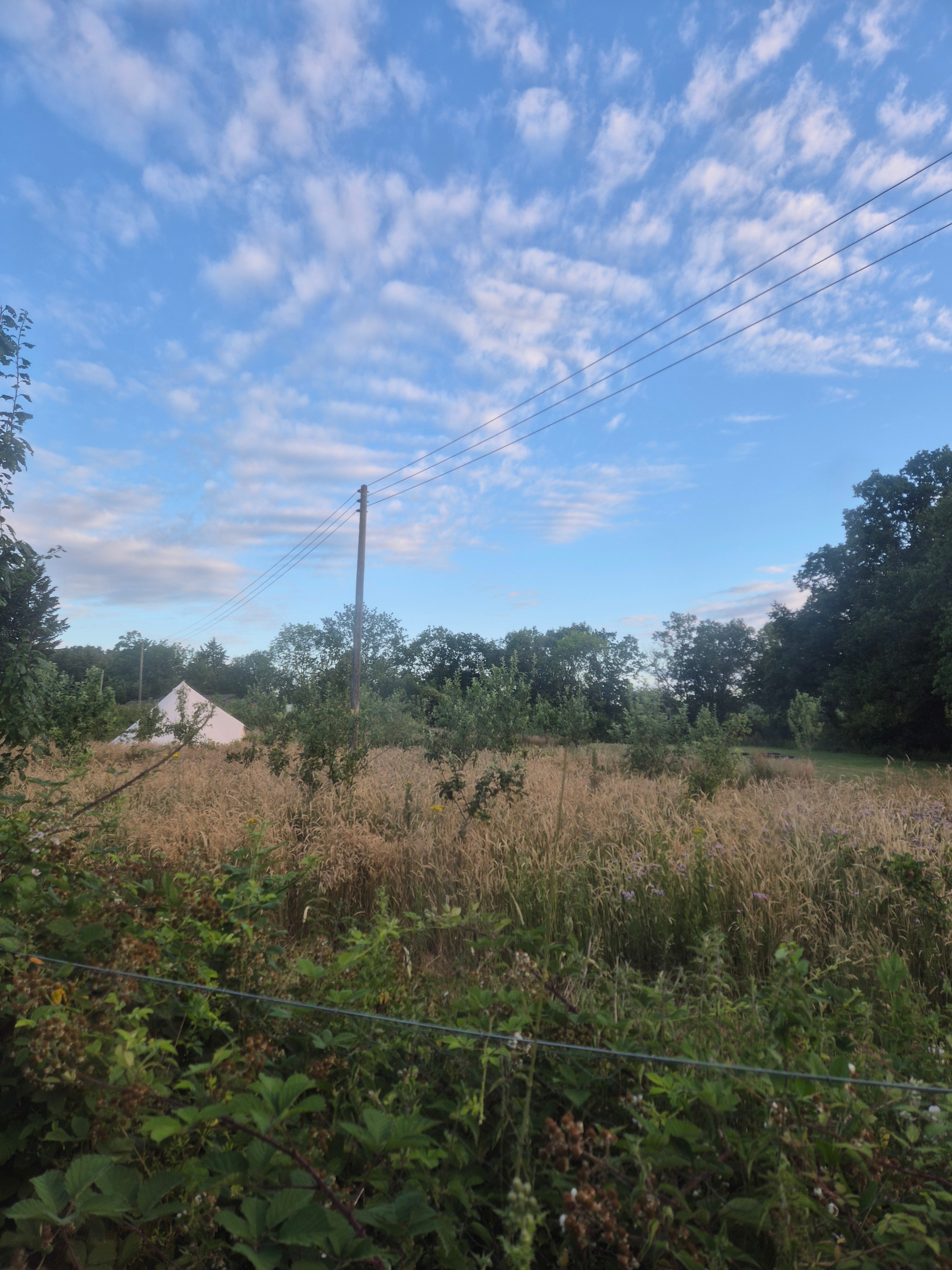 Lyng Farm Camping