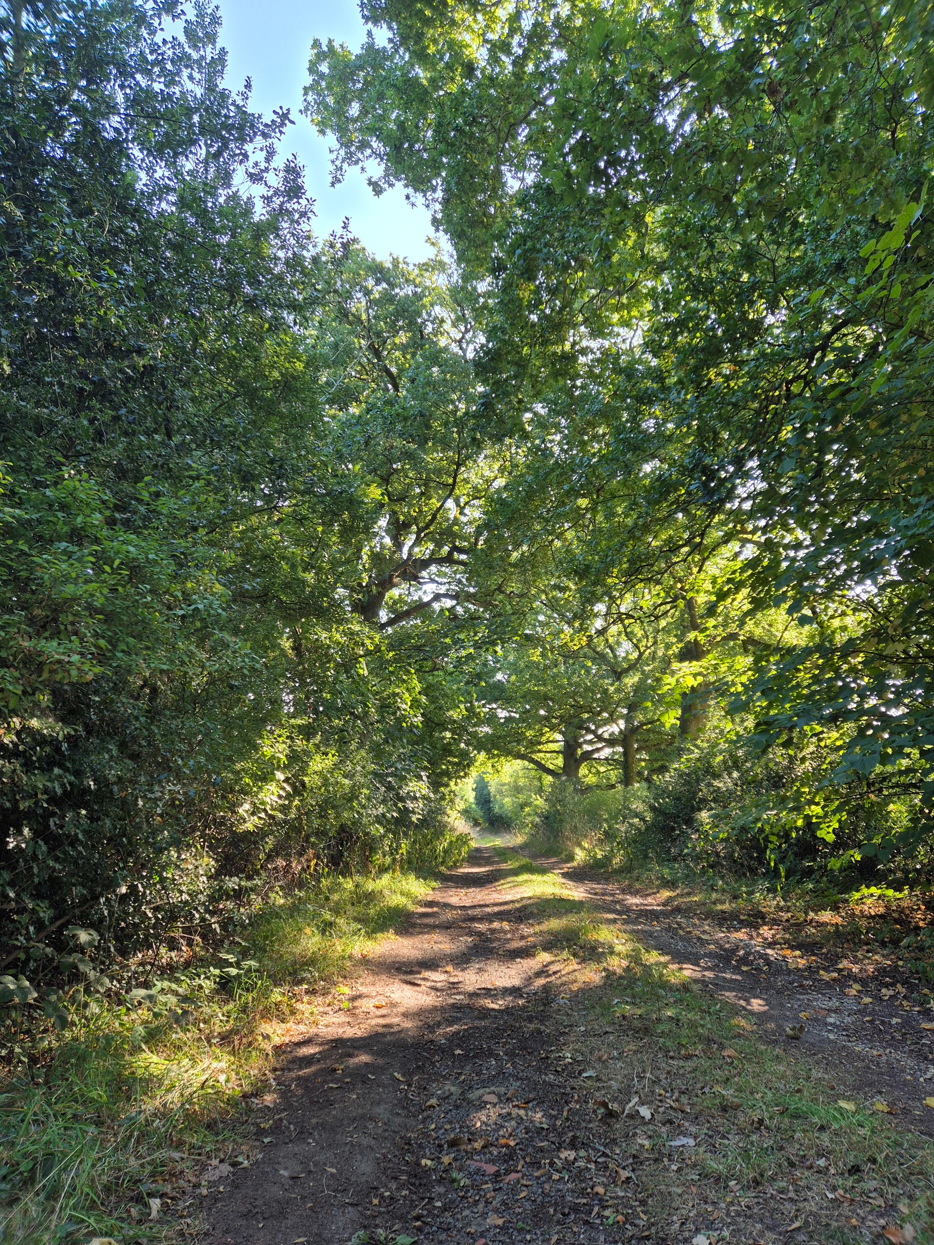 Lyng Farm Camping