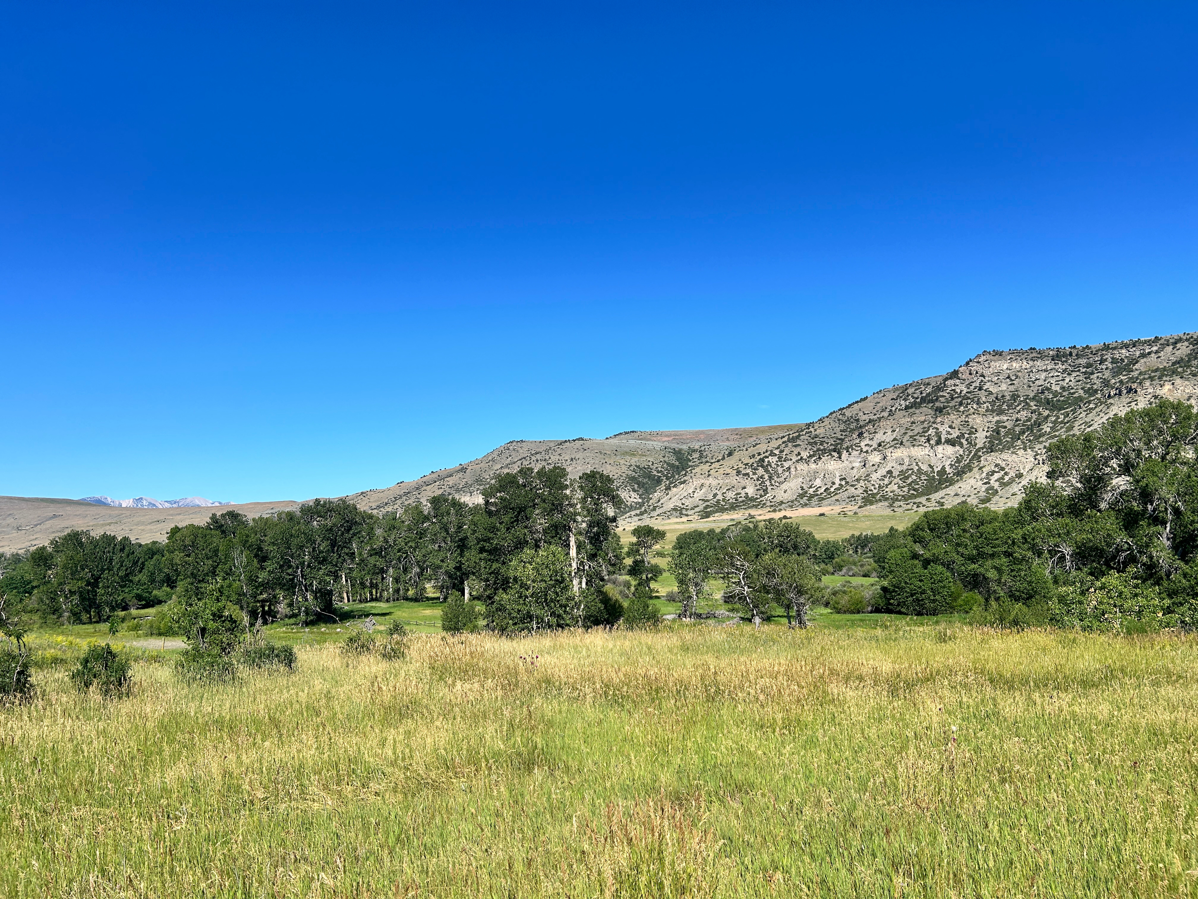 Boulder River Oasis