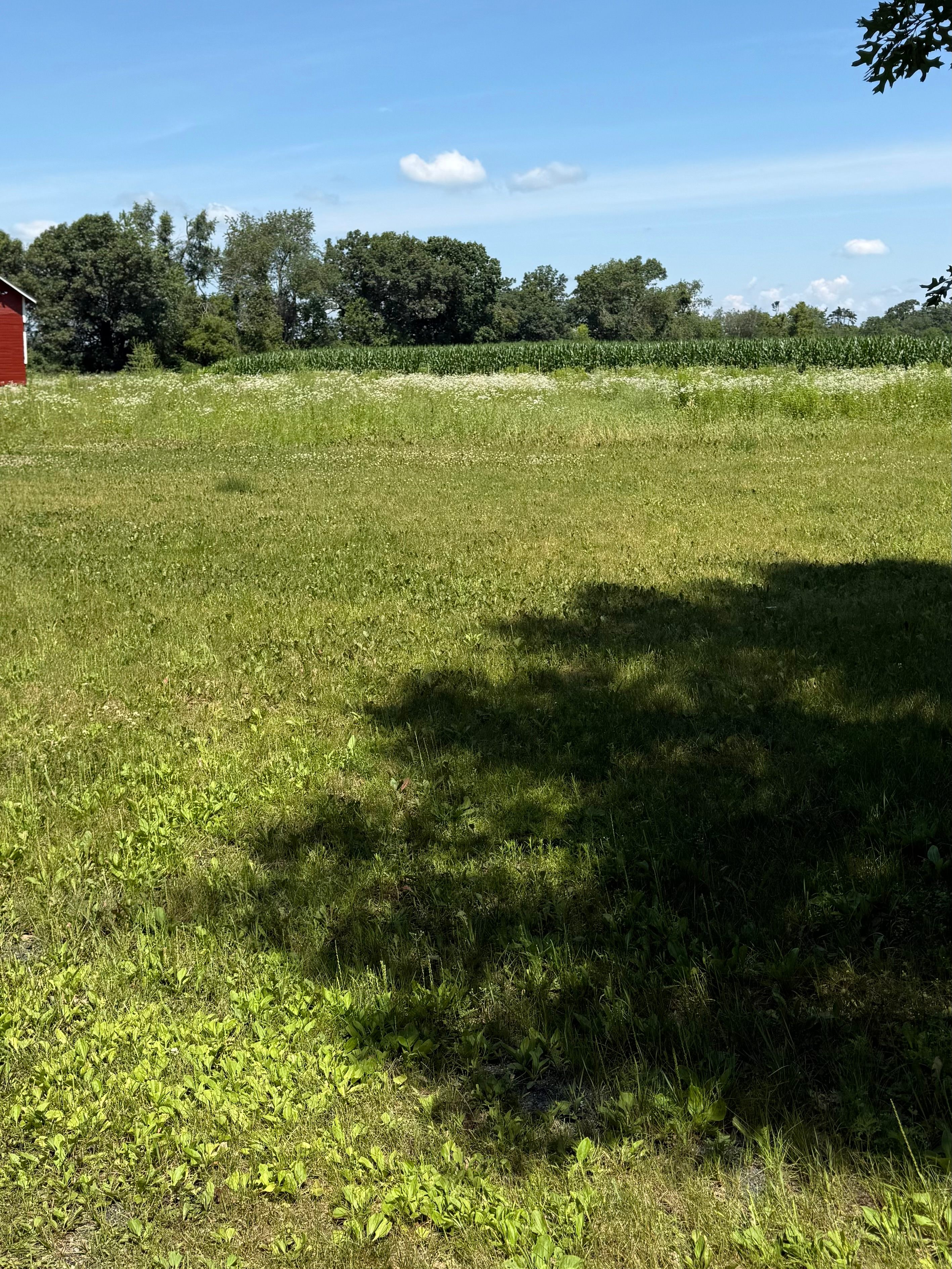 Whispering Buzz & Breeze Camp