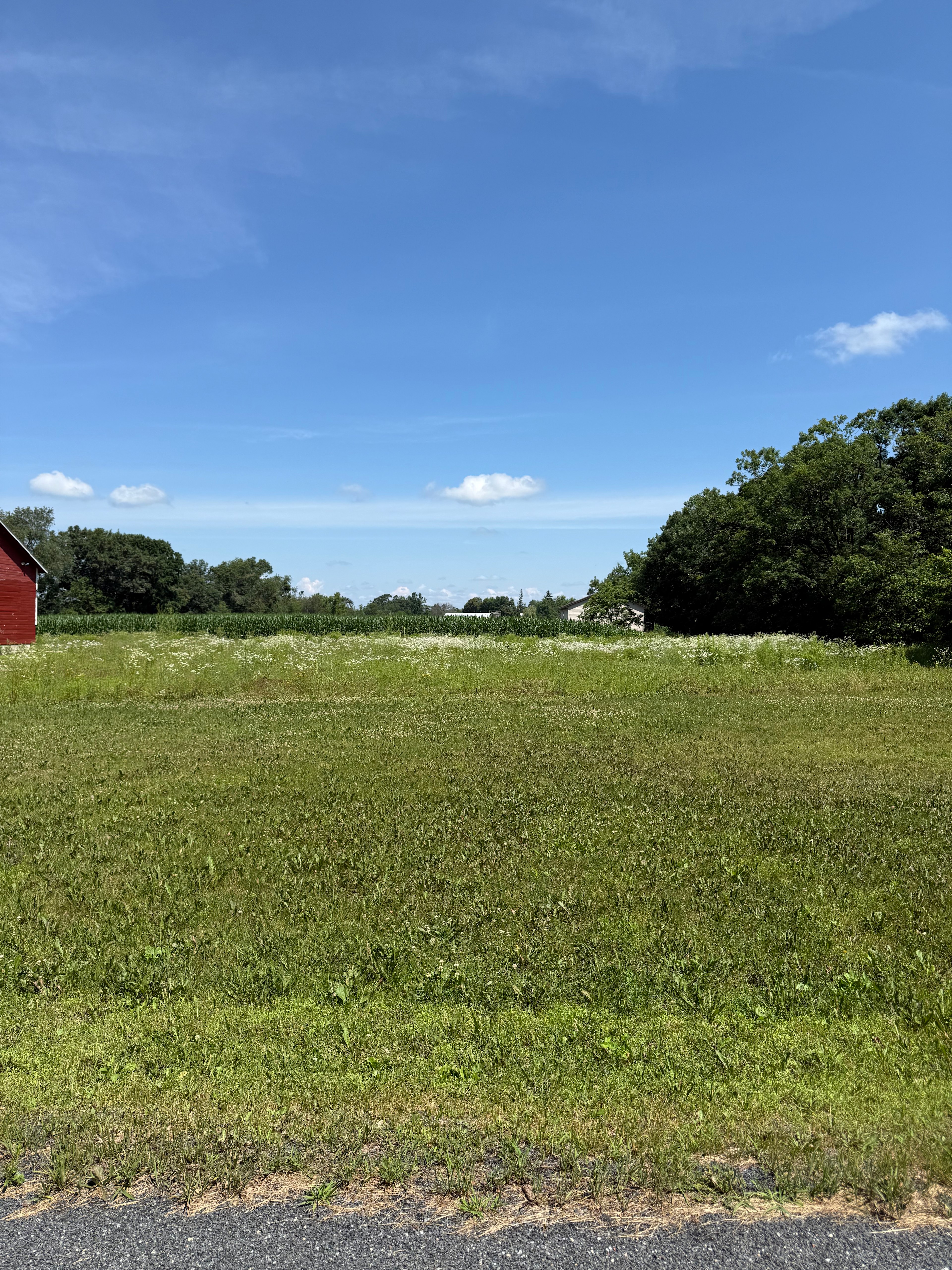 Whispering Buzz & Breeze Camp