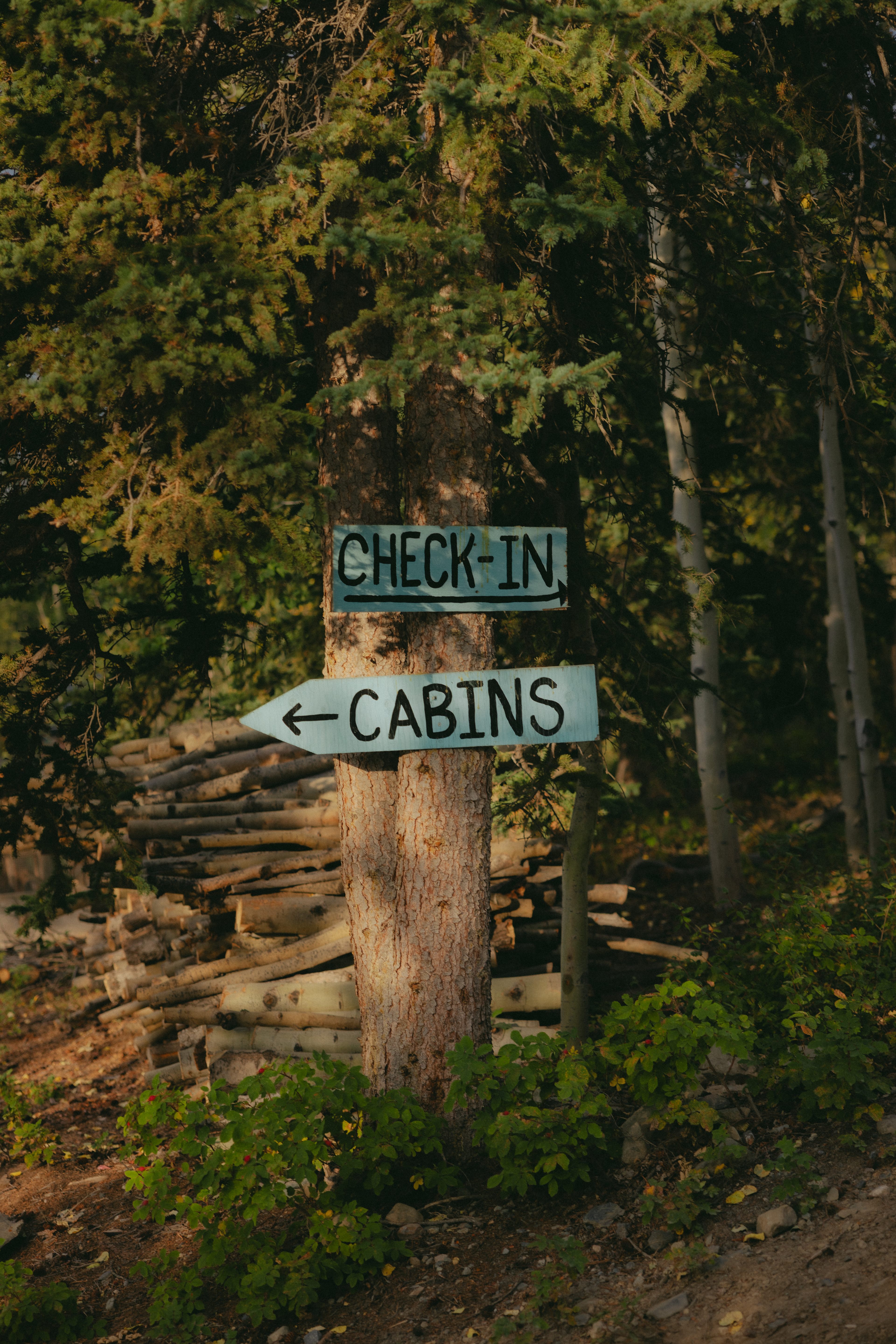 Cabins Over Crag Lake