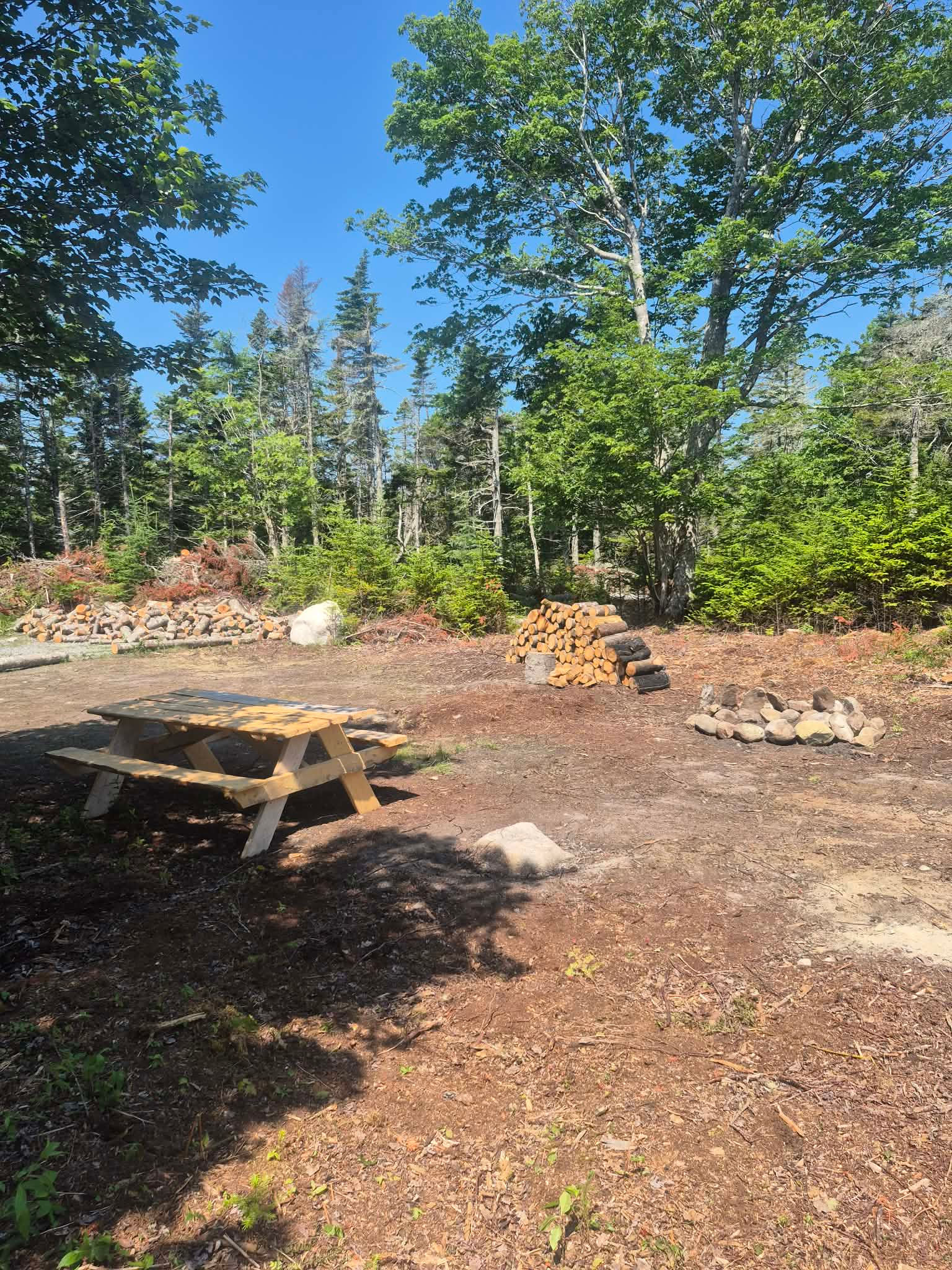 Peaceful Seaside Camping
