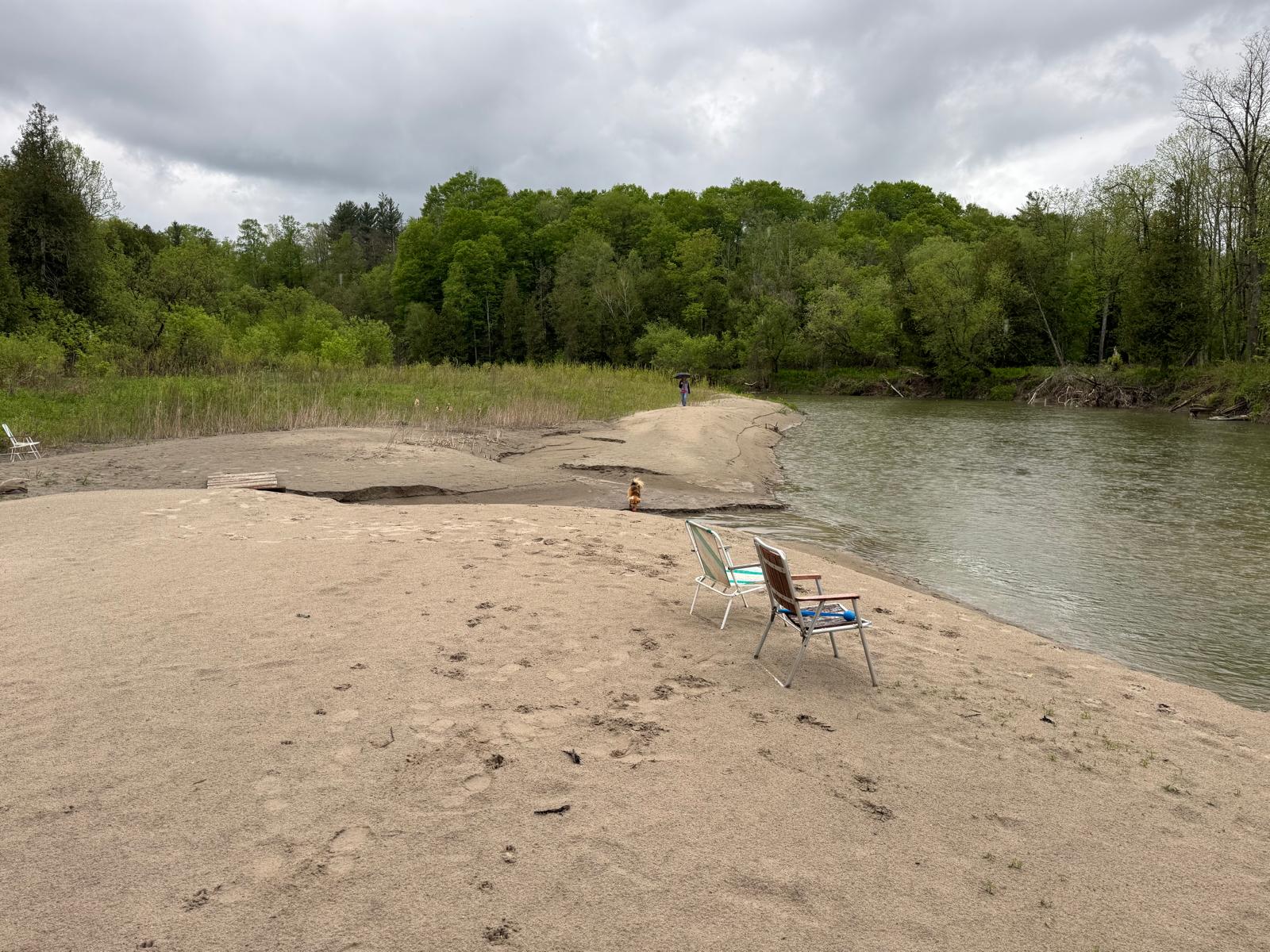 Camp Saulaine