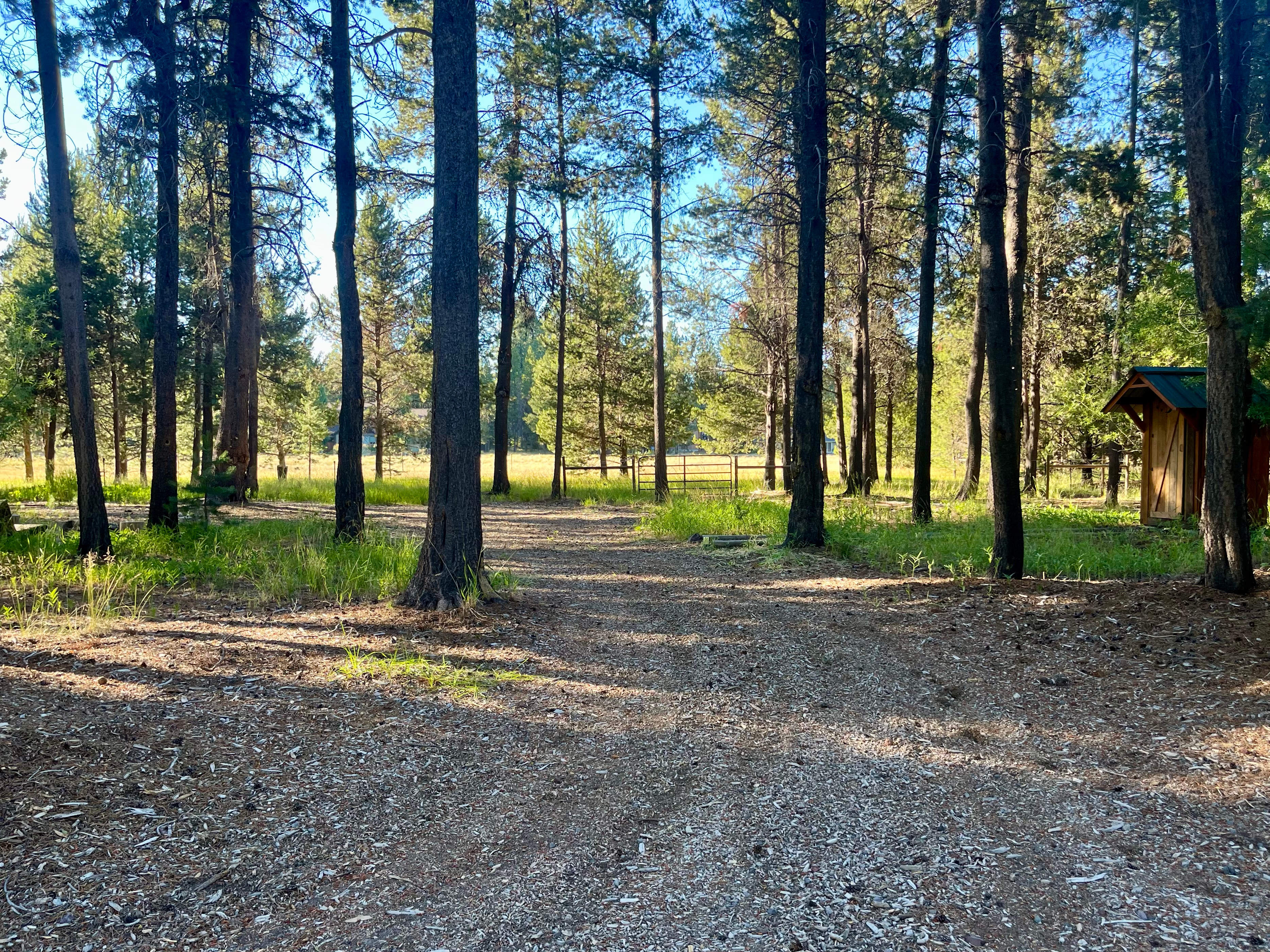 Moonrise Meadow Willow Camp