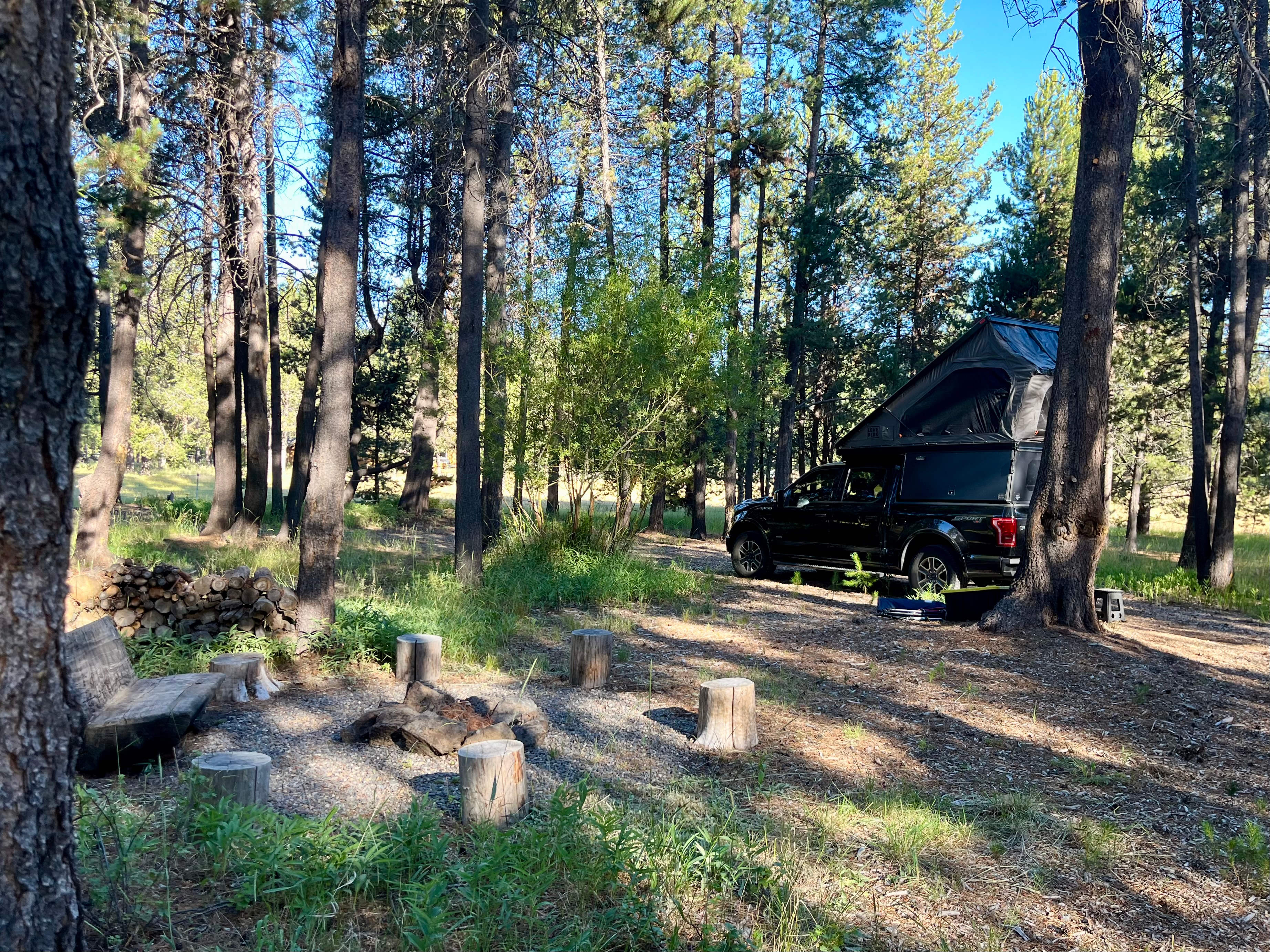 Moonrise Meadow Willow Camp