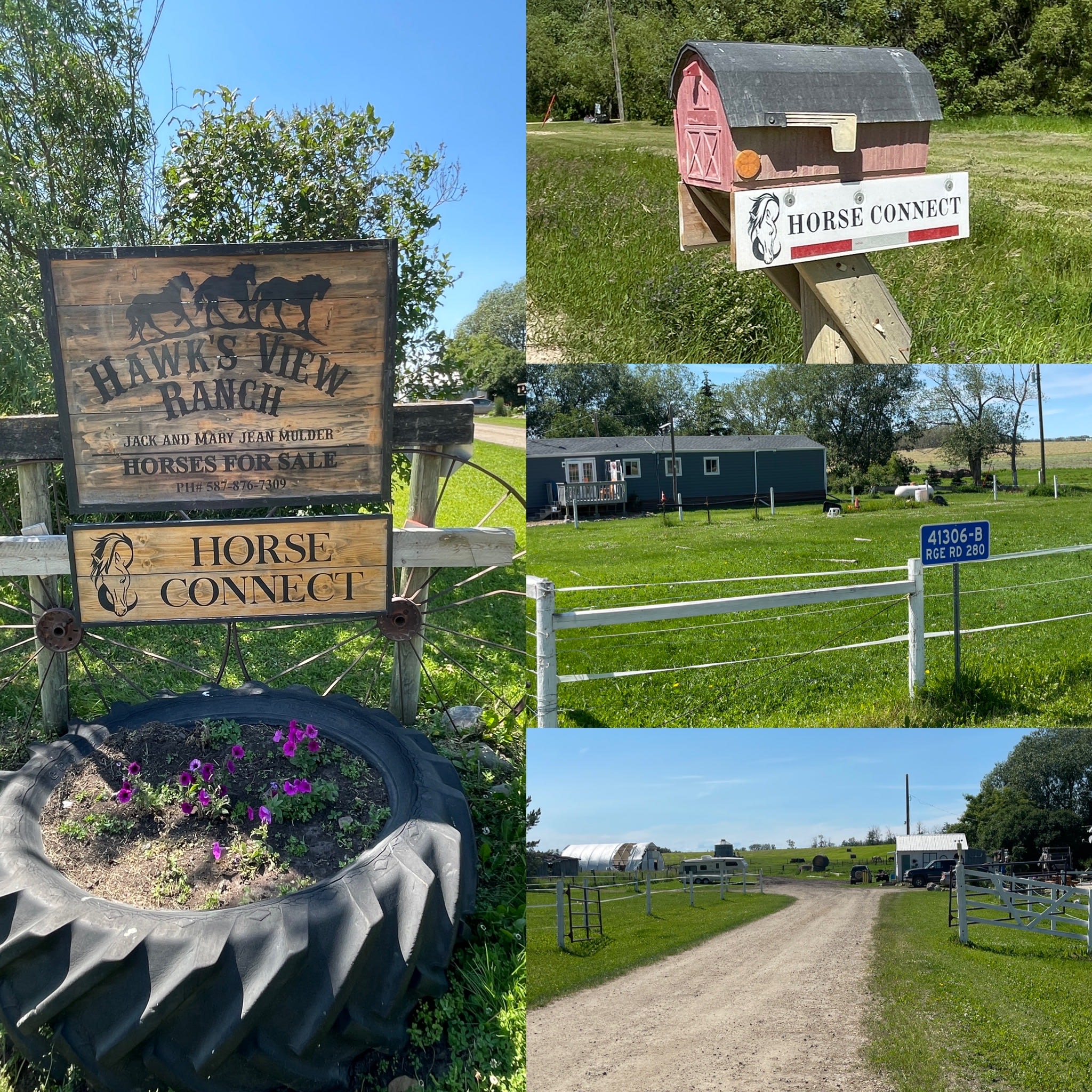 Hawk’s View Ranch