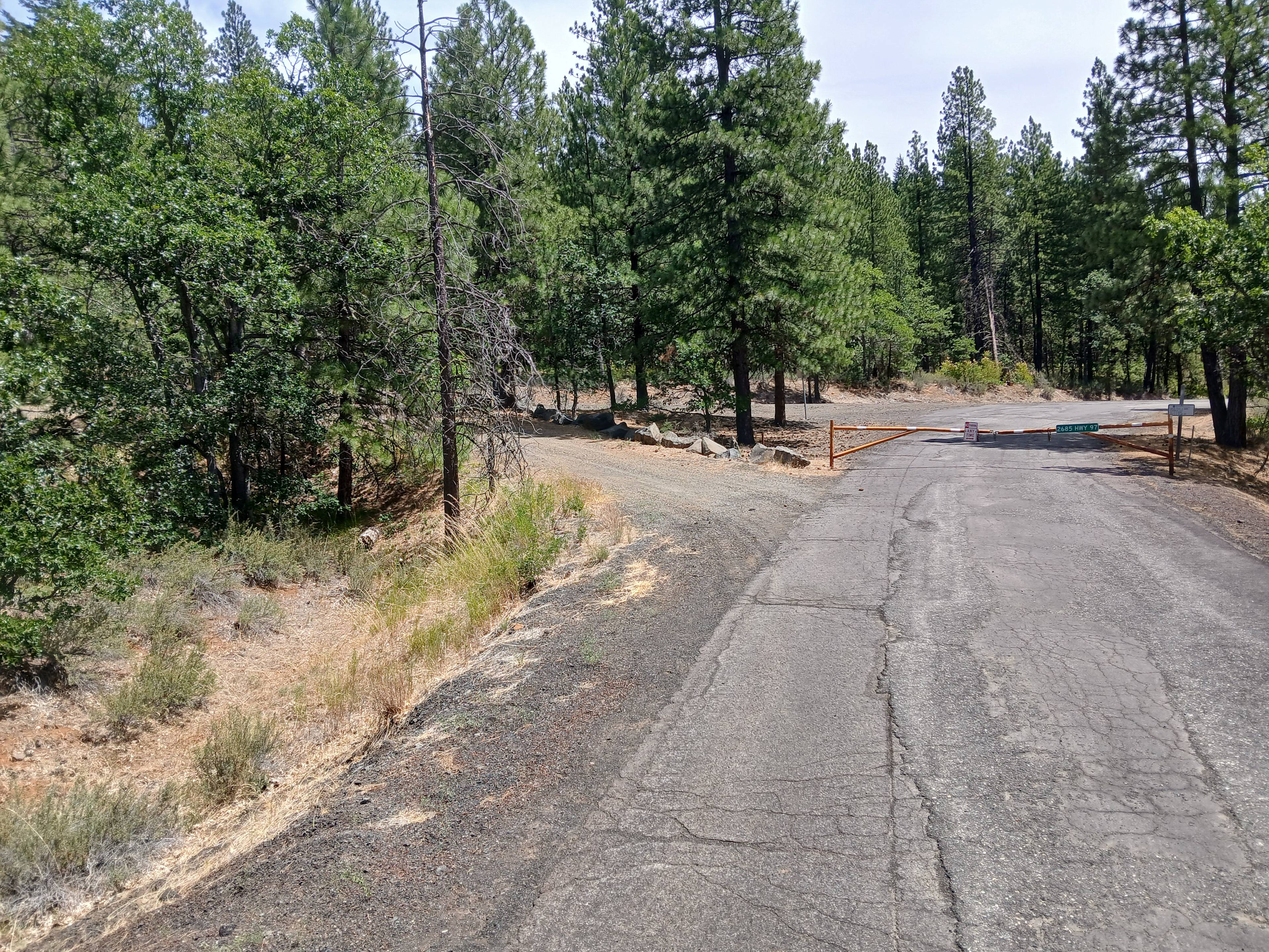 Black Bear Retreat