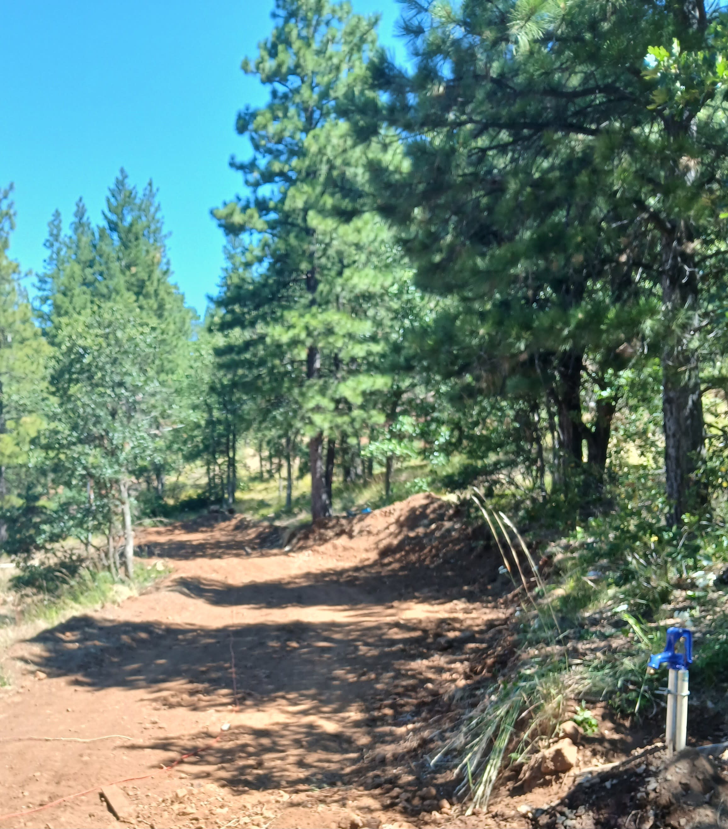 Black Bear Retreat