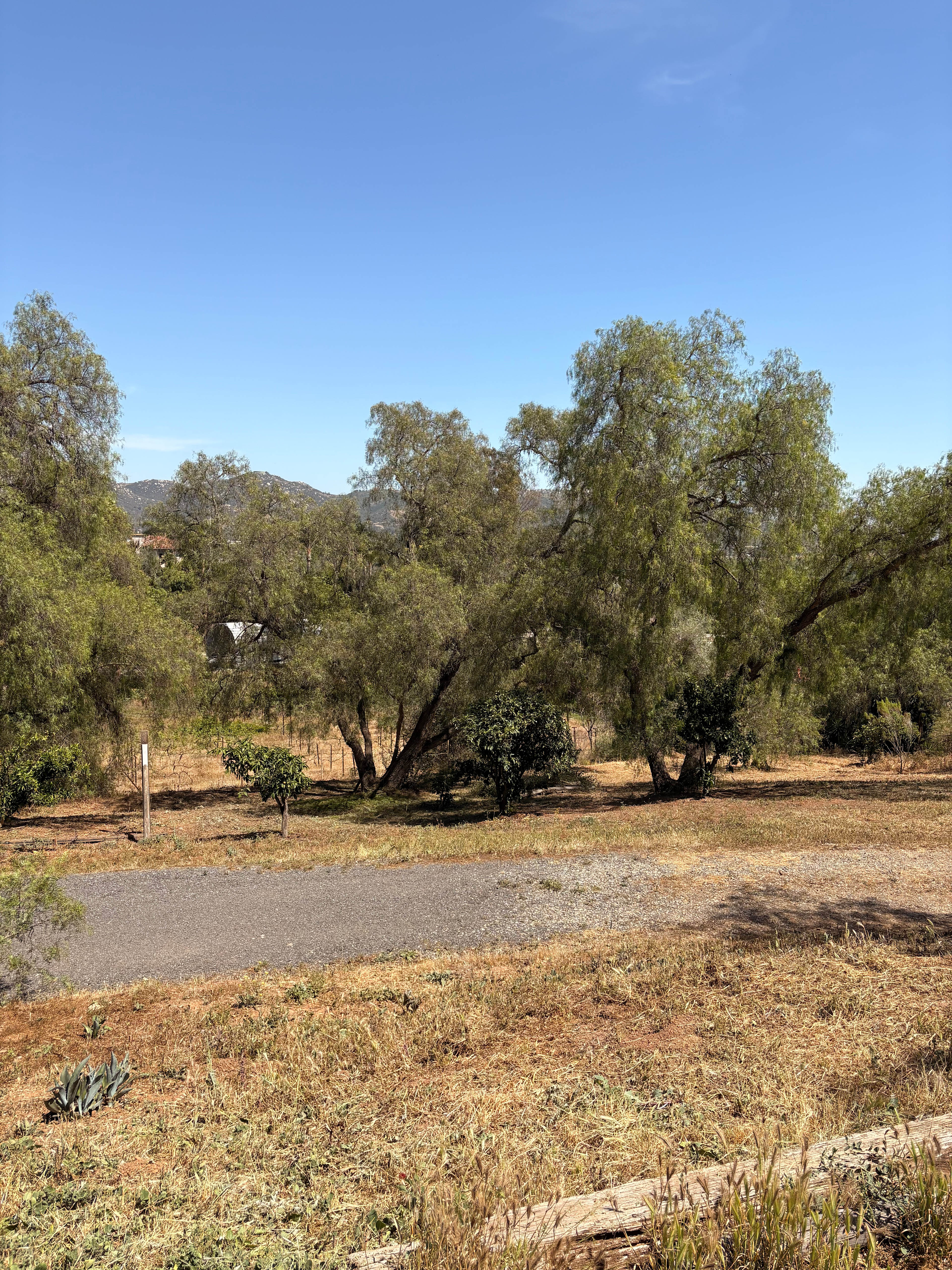 Wilson Hill Retreat