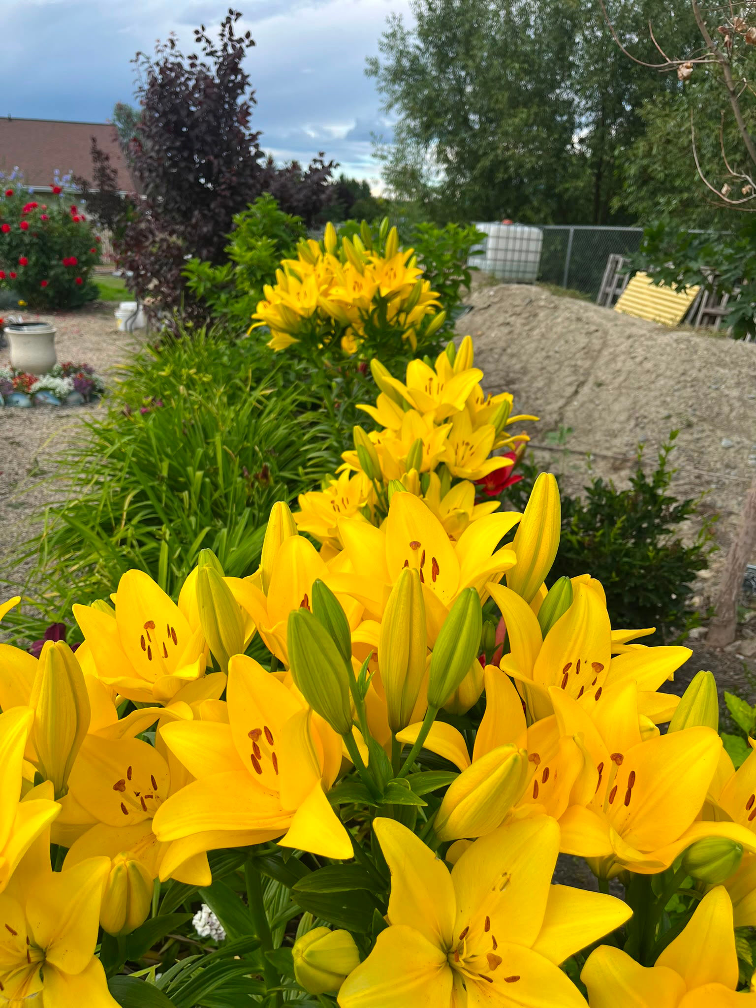 Triple B Gardens