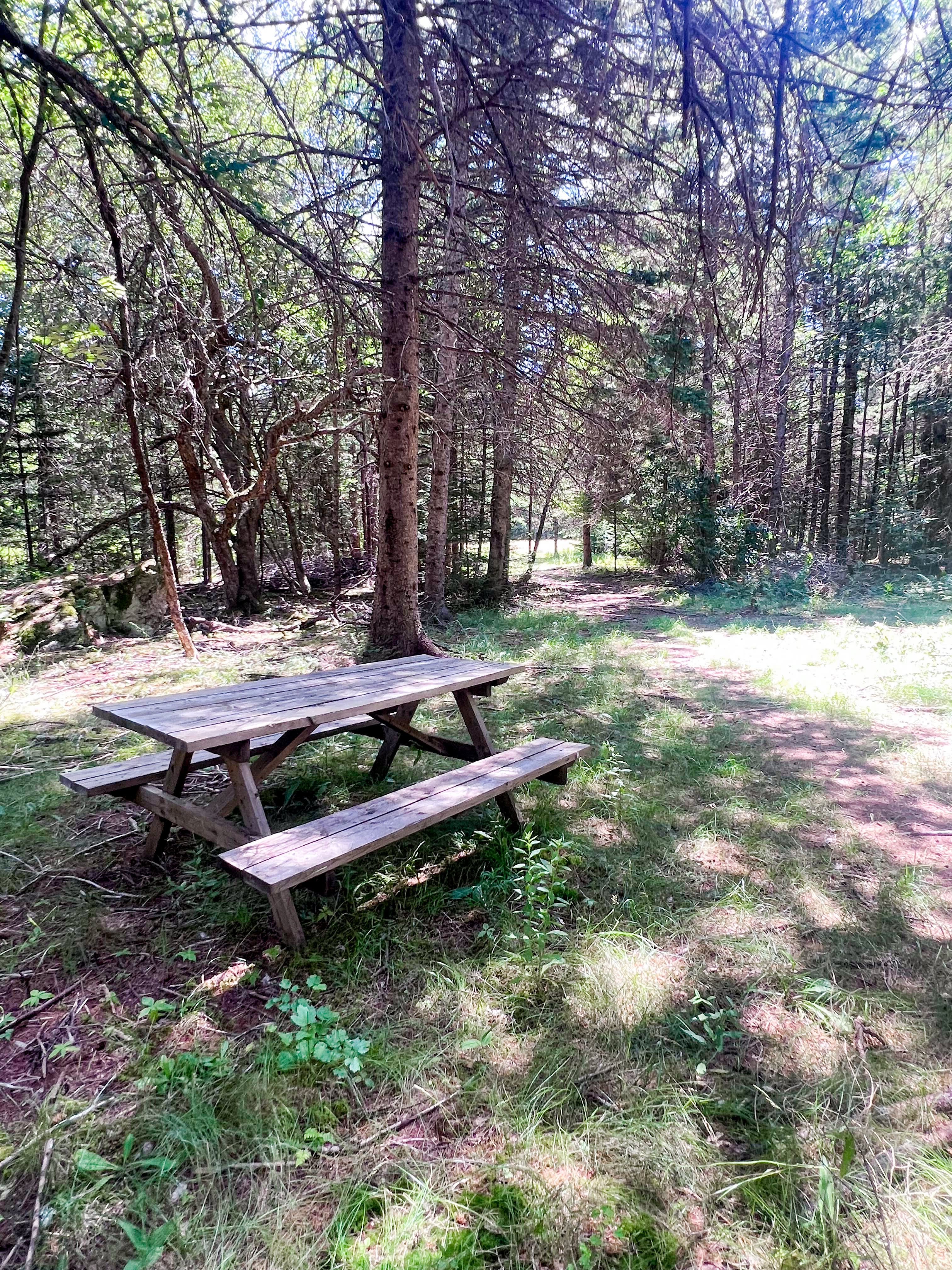 40 Acre Wood