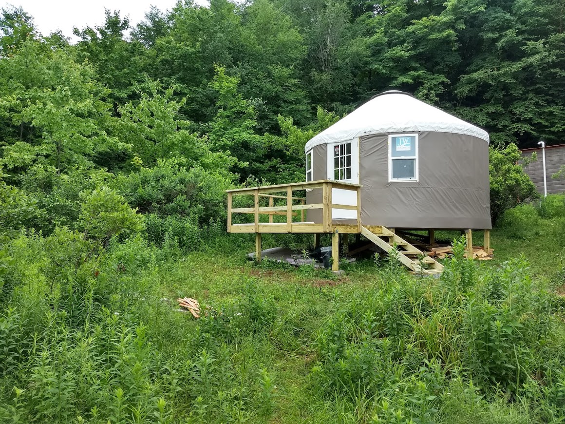 the blueberry patch