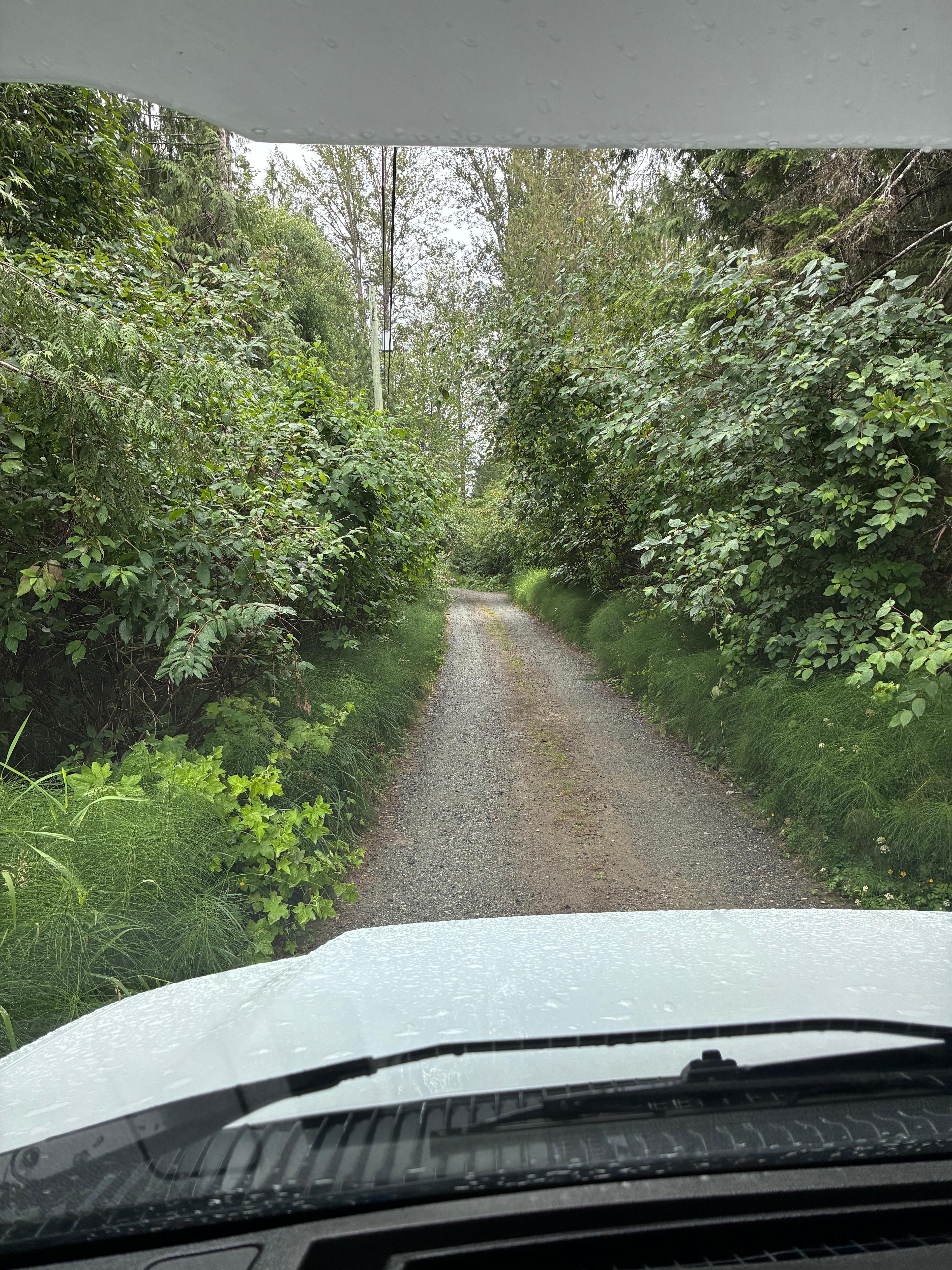 The path ! Too narrow for an rv