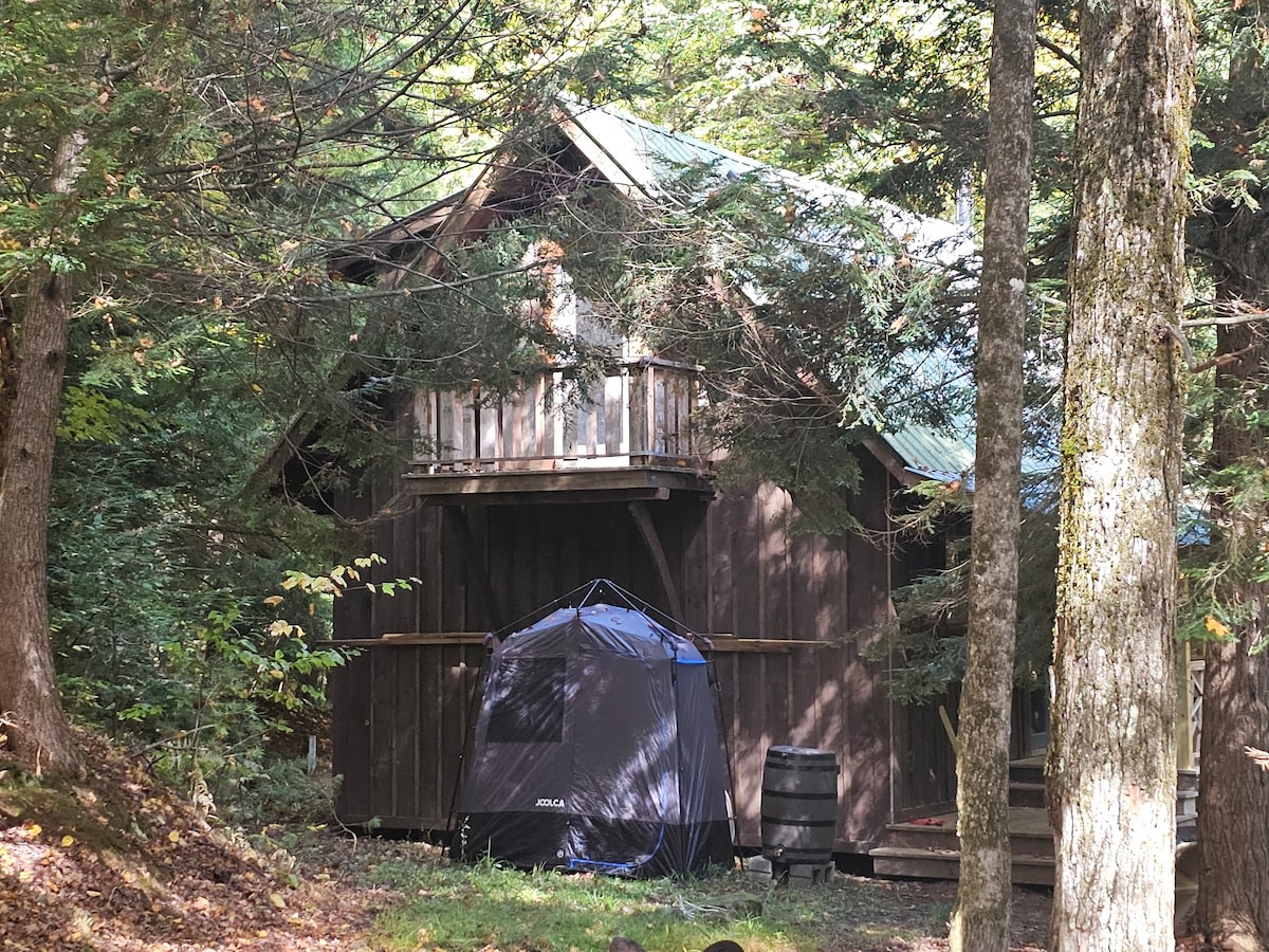 Blue Bear Adirondack Camp