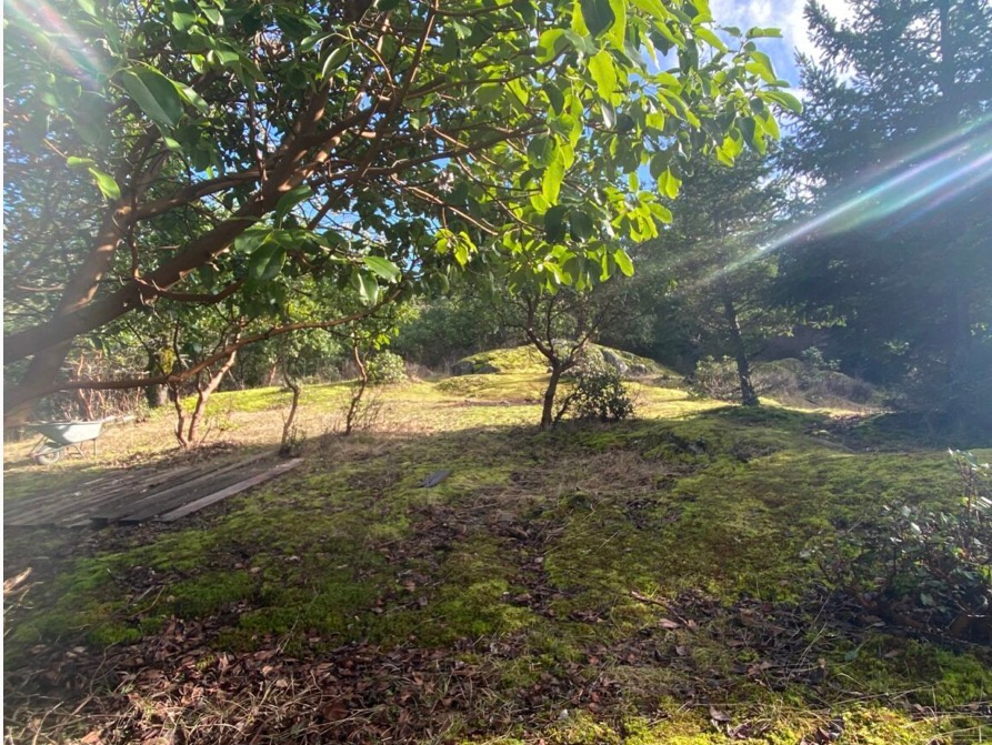 Quarry Hill Sanctuary