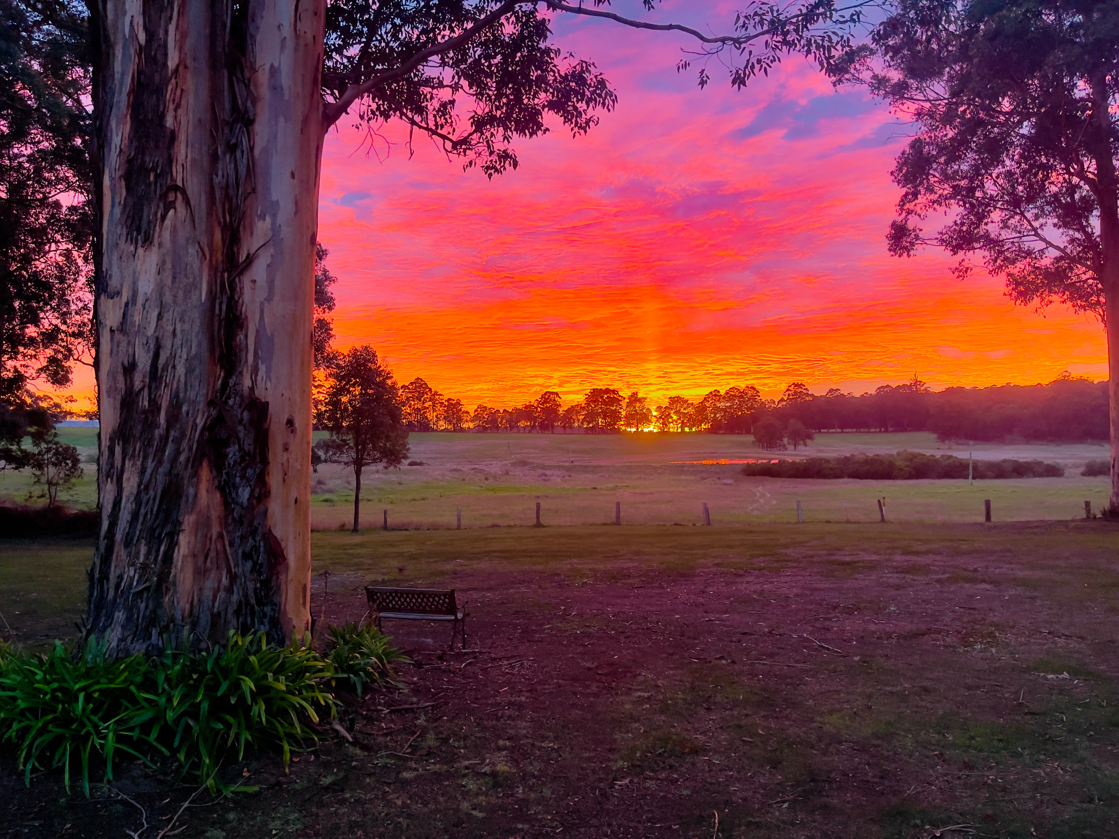 Highway Hideaway - Manjimup
