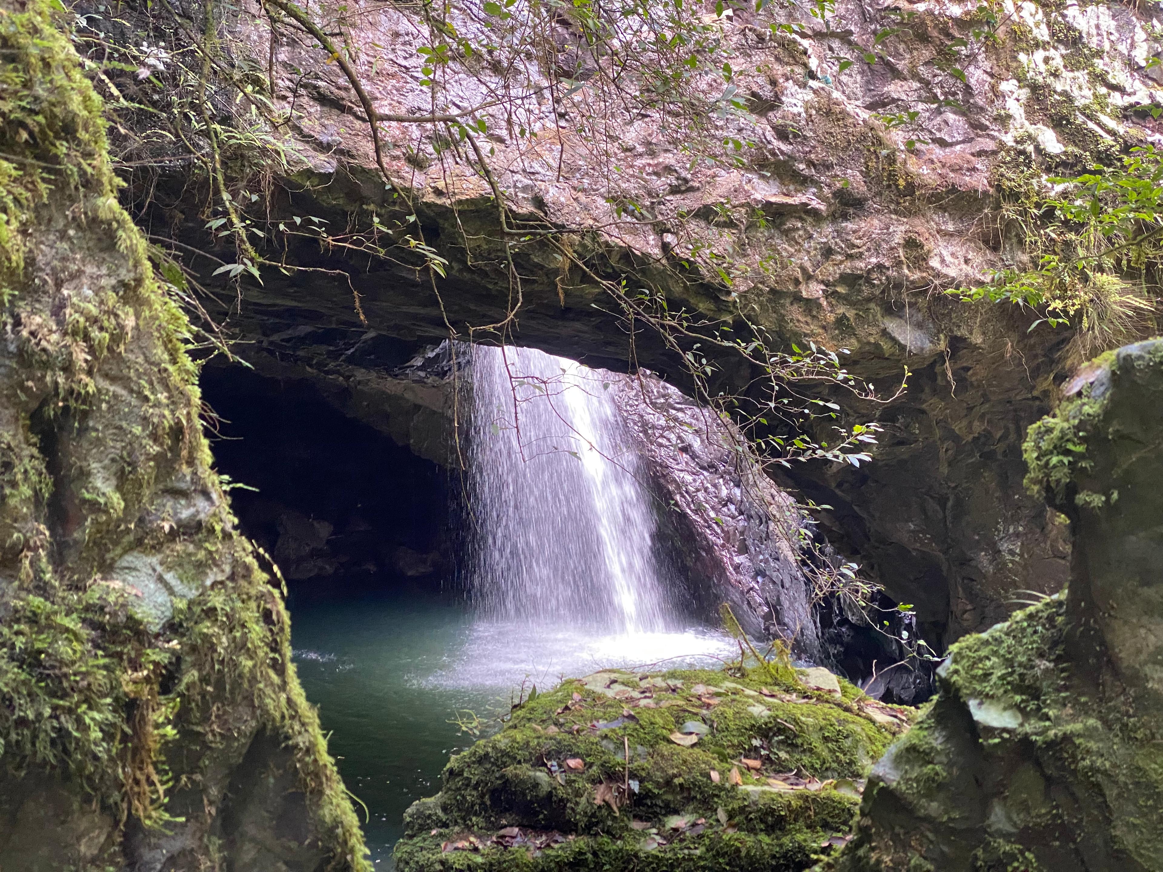 Gorgeous spot 