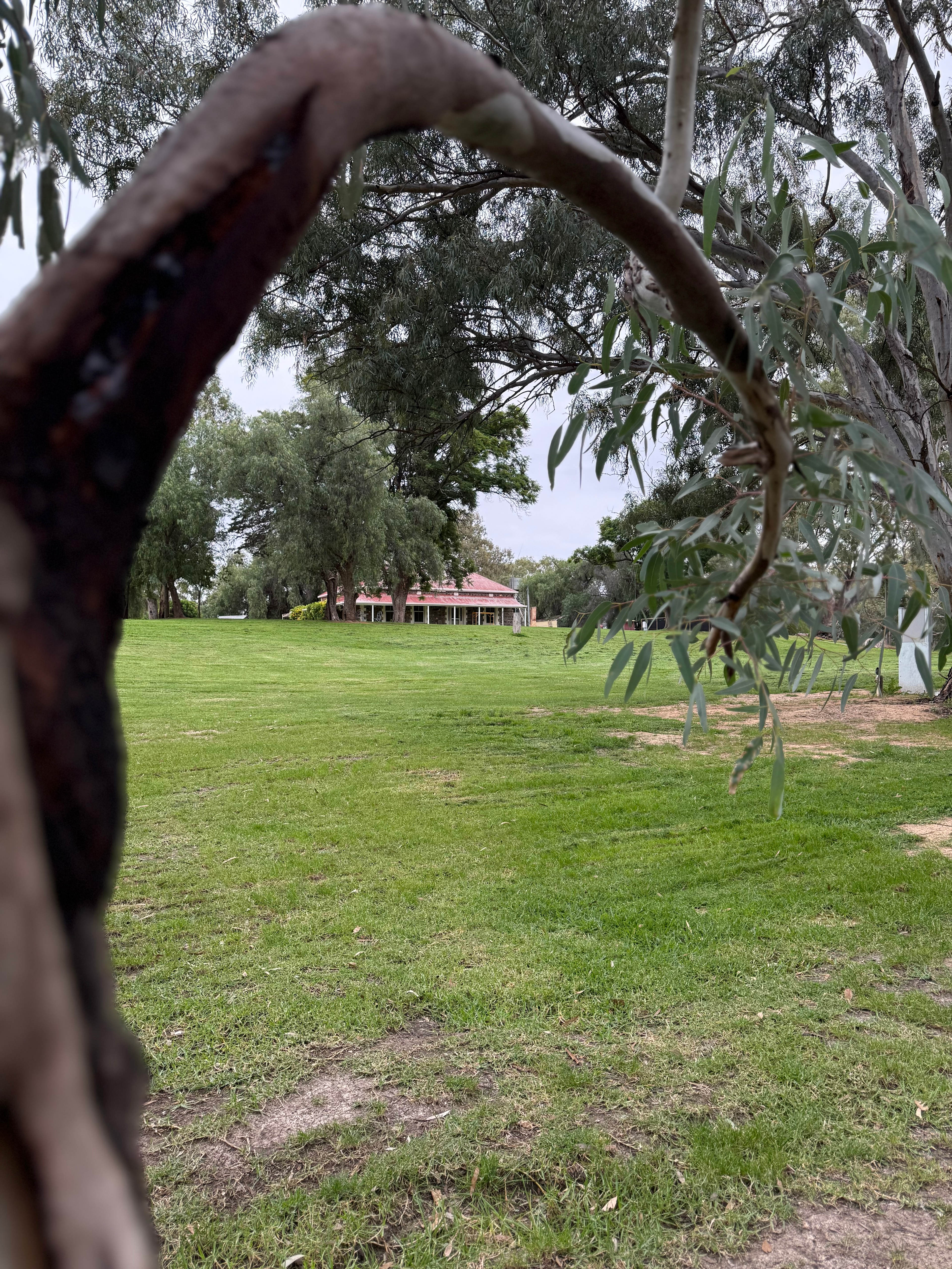 Avoca Homestead