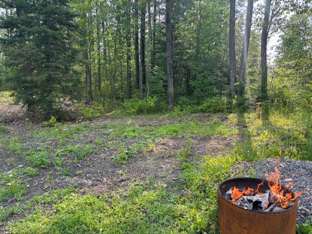 Remi Lake Cottage and co. Hip Camp