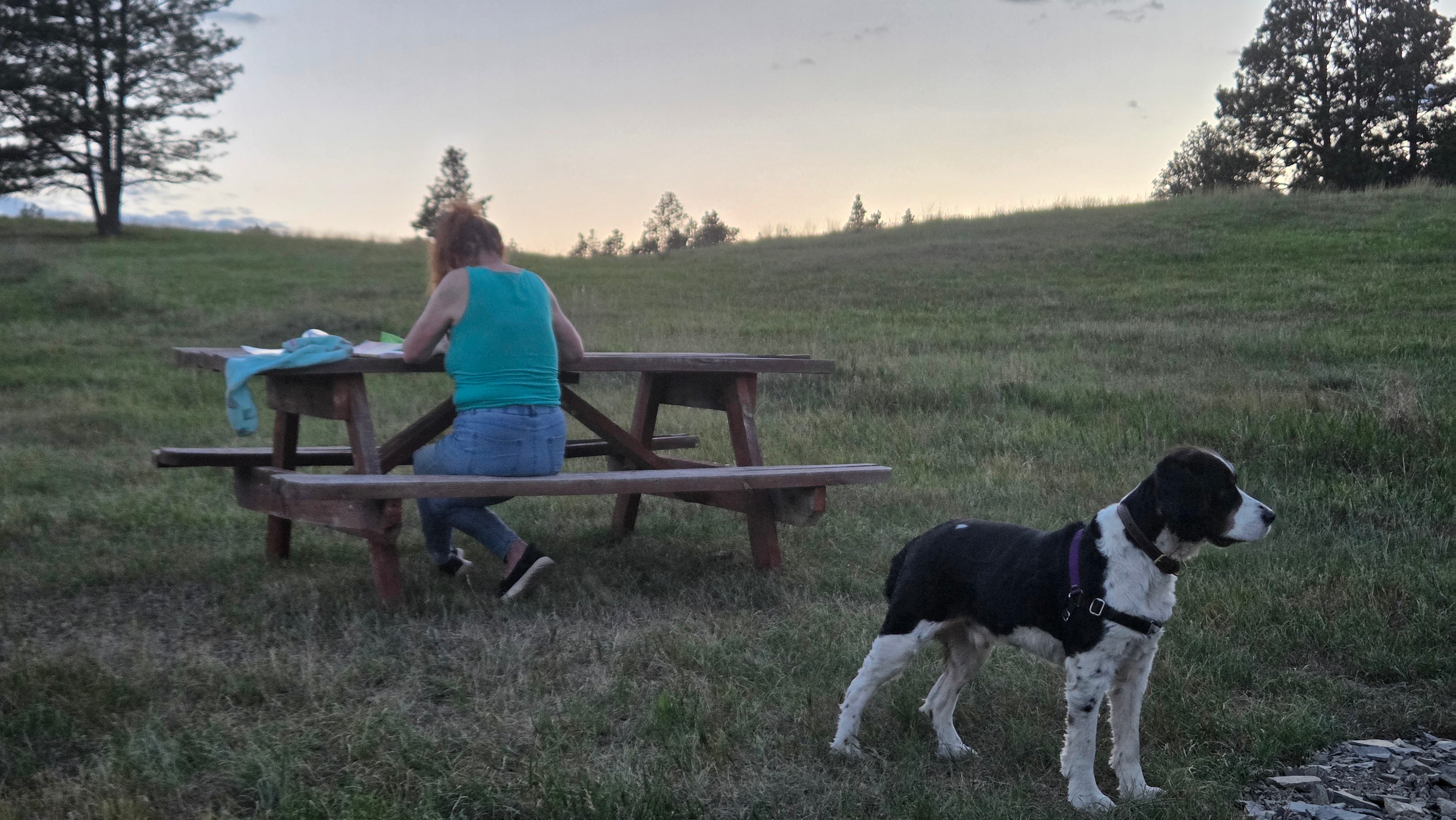 Nuckolls Ranch Inc.