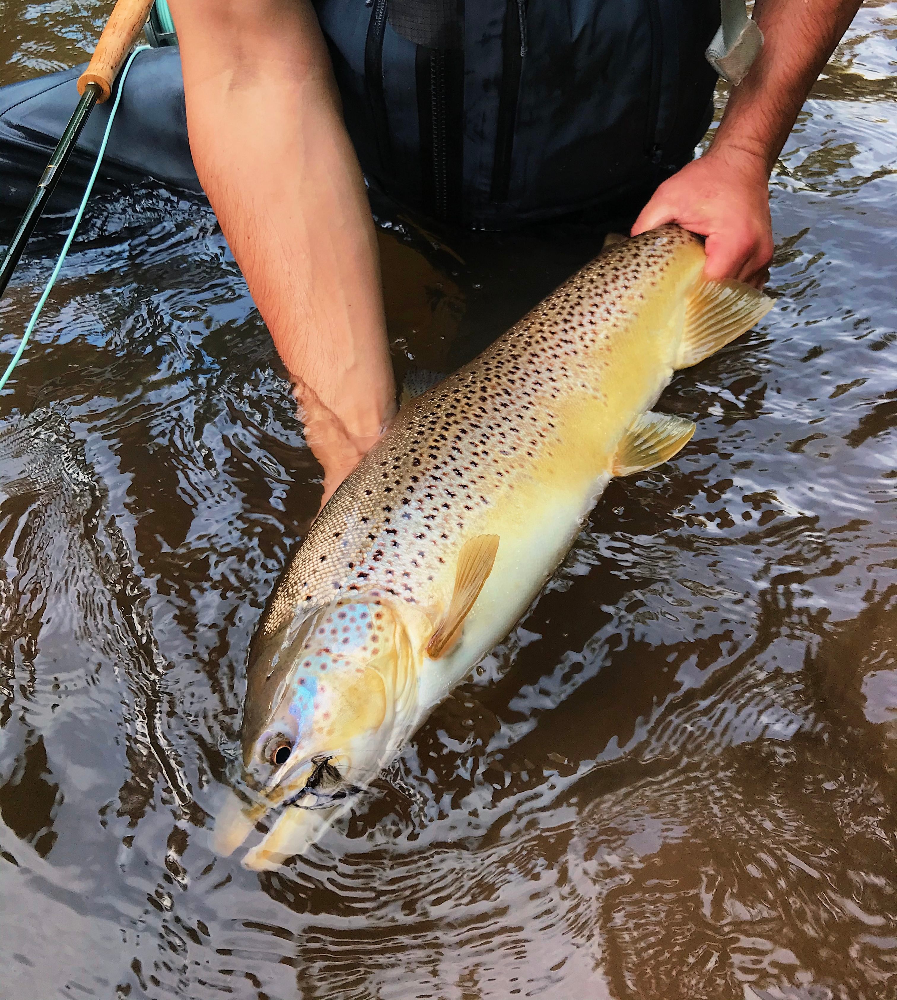 Brule River Yurts
