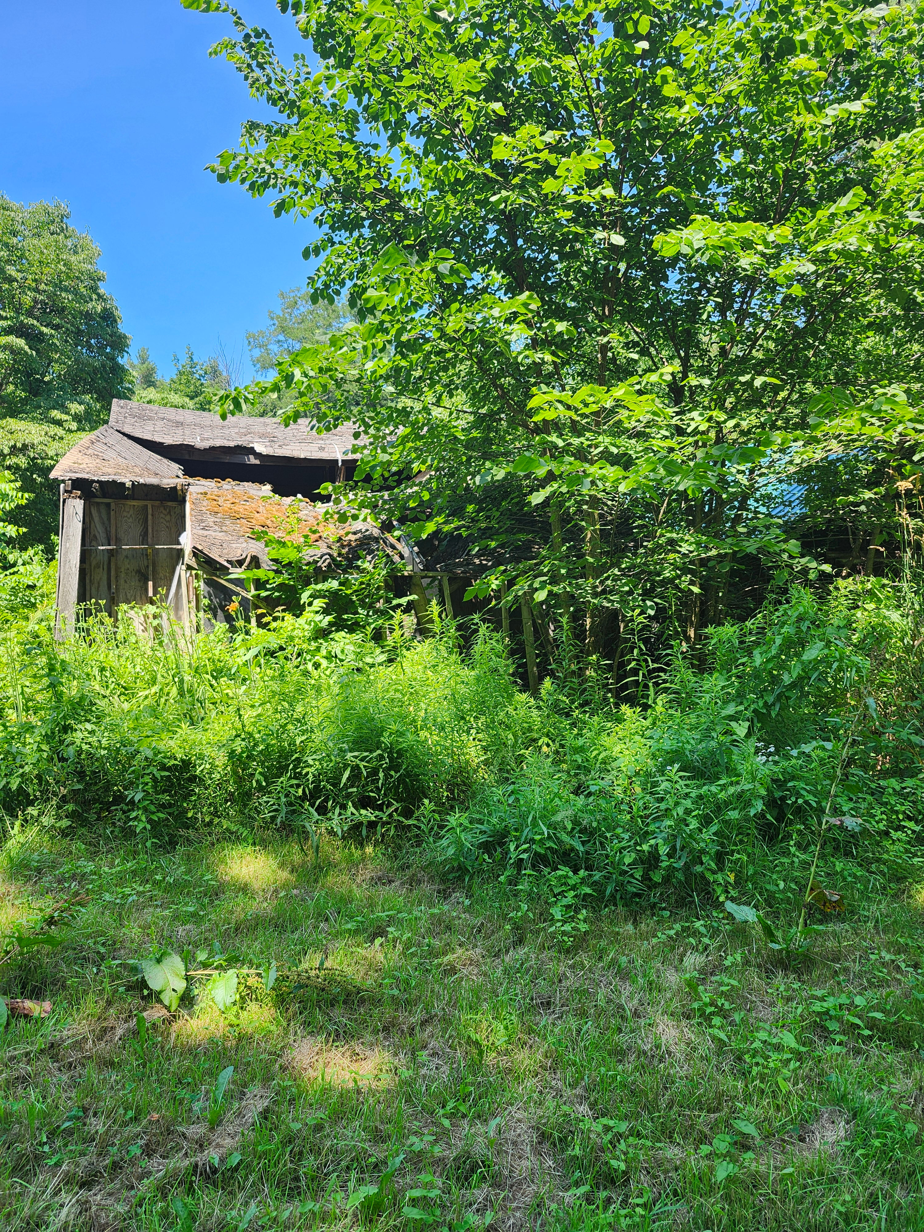 The remains of the Big Red Barn.