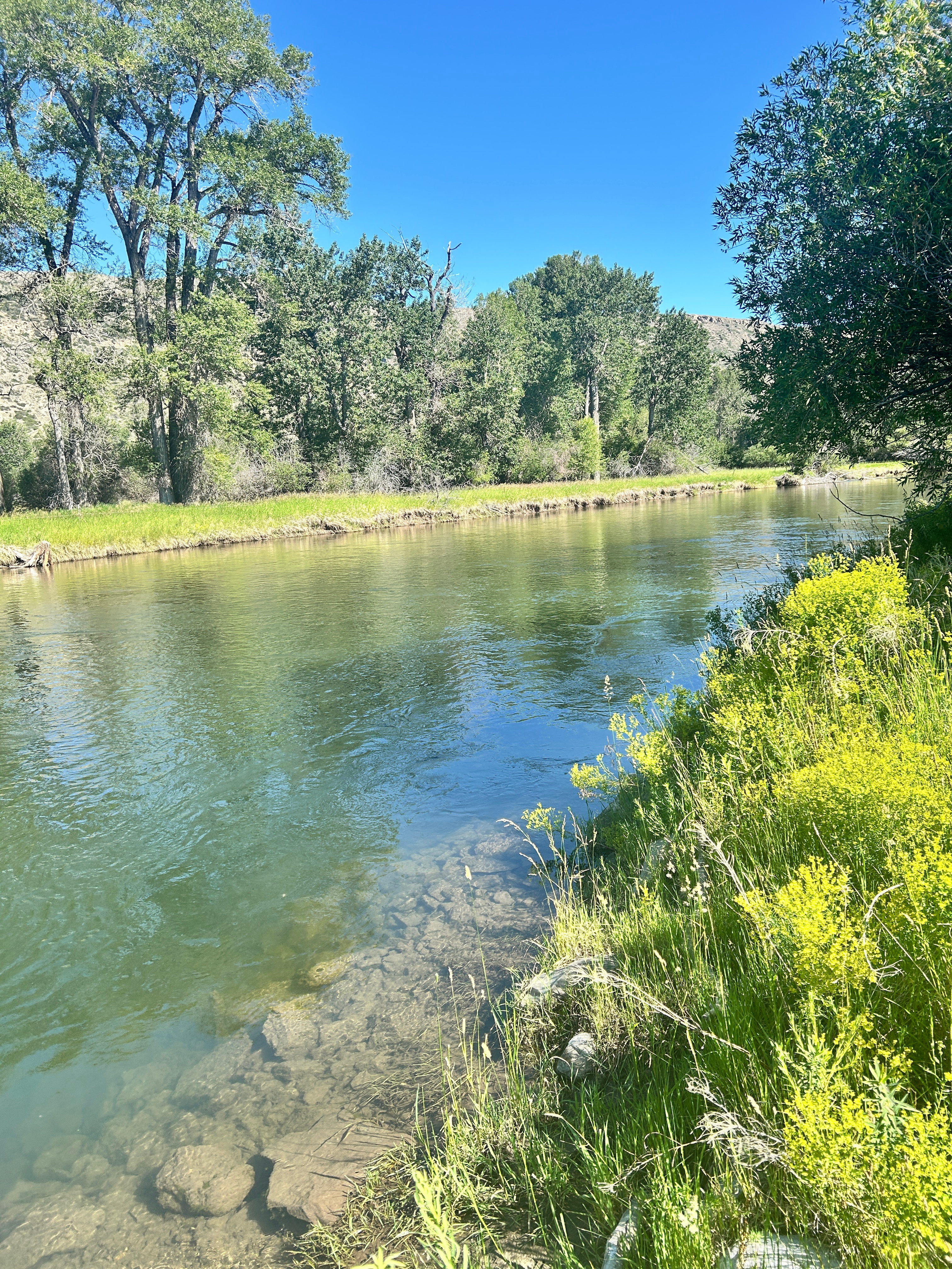 Boulder River Oasis