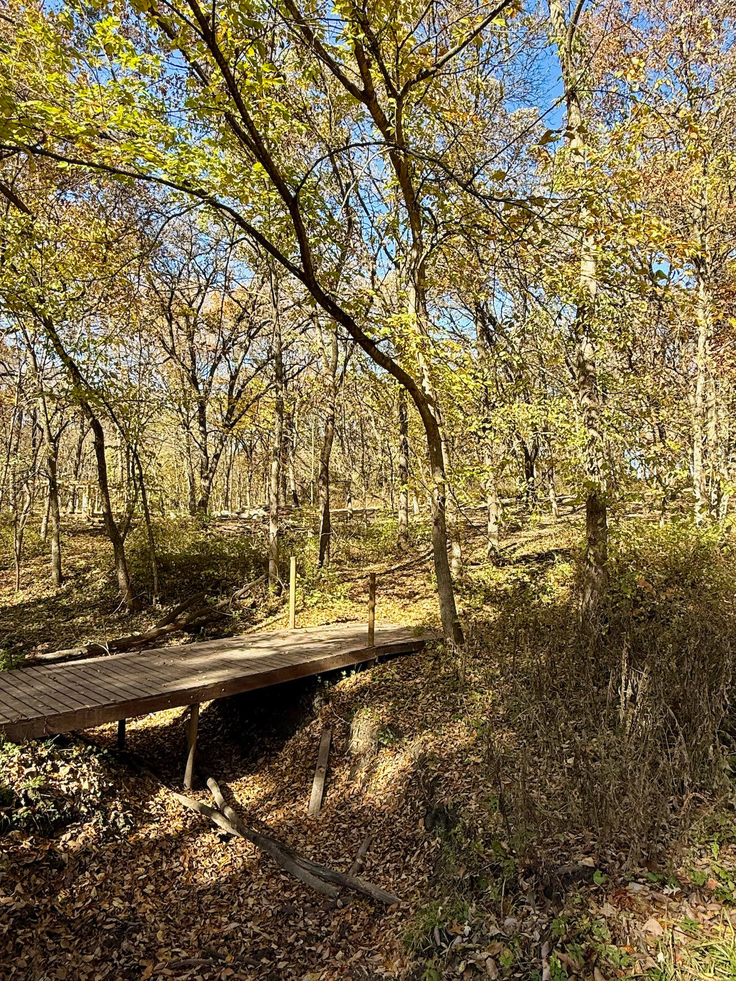 Oakwood Retreat
