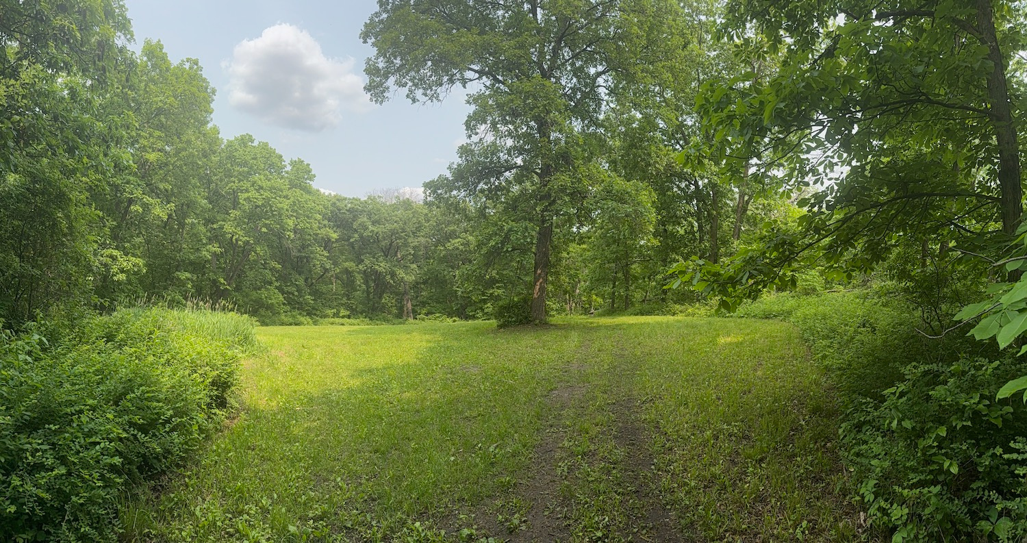 Oakwood Retreat