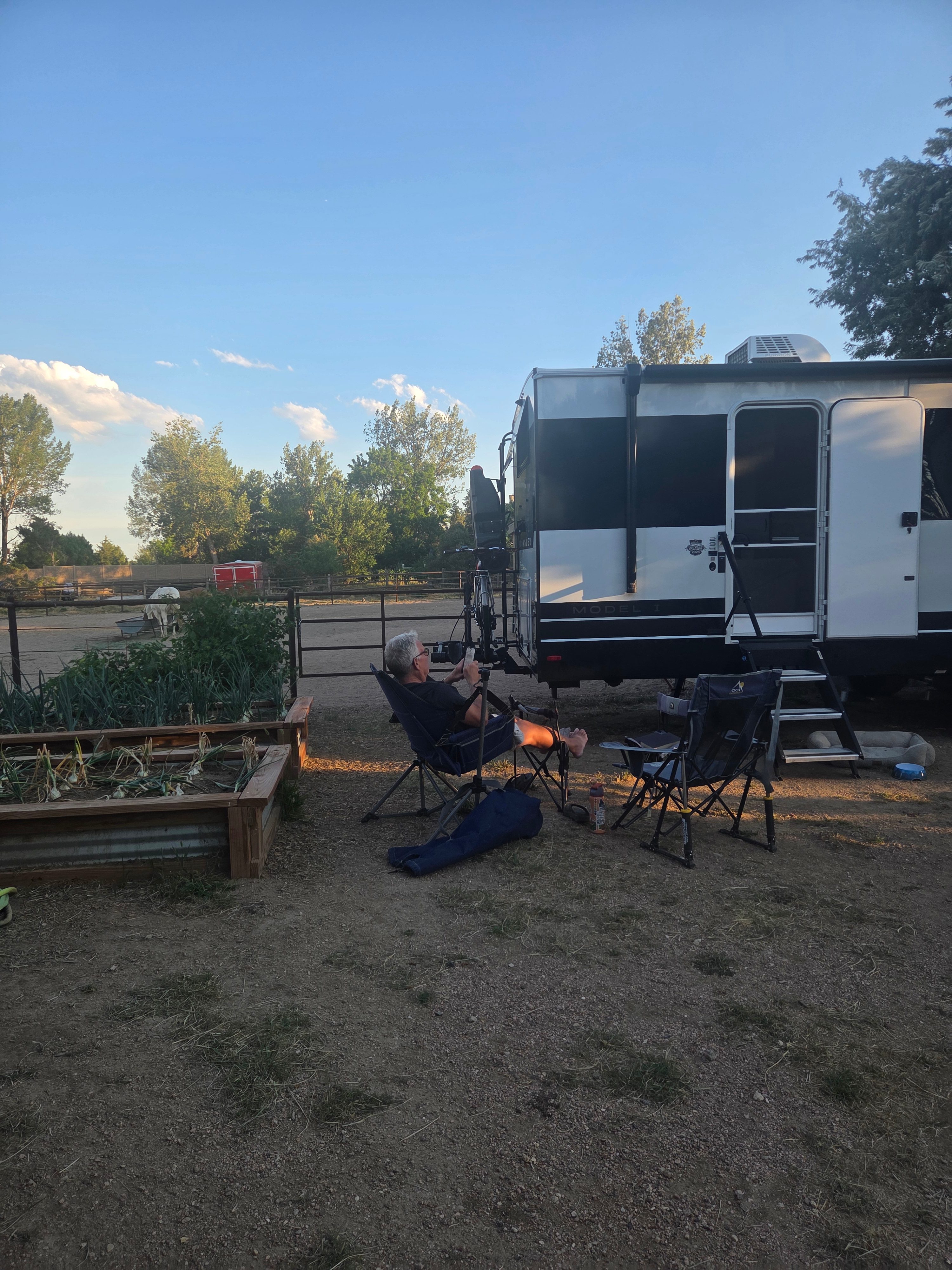 Enjoying the horses